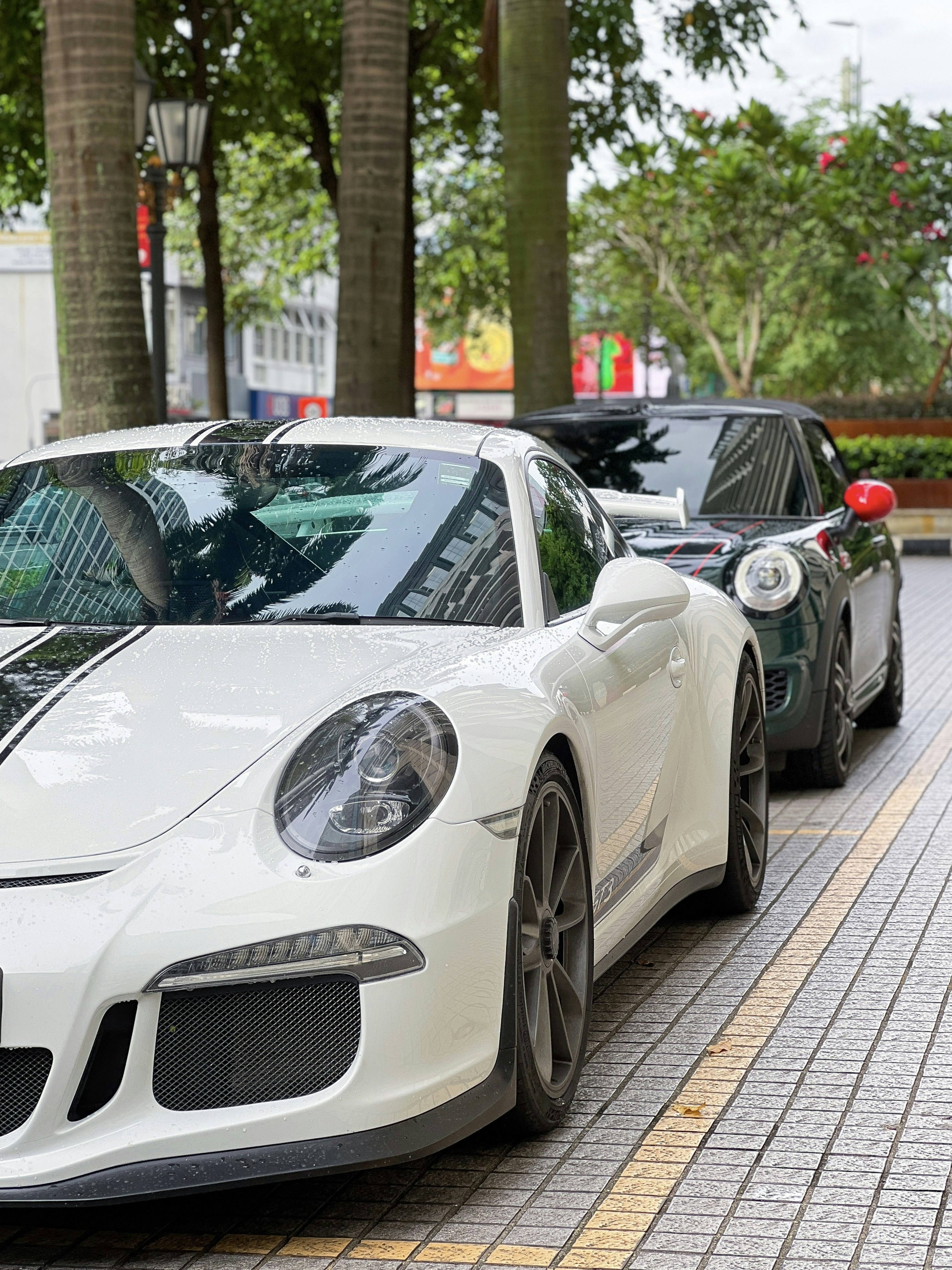 Photo by verdeselvans