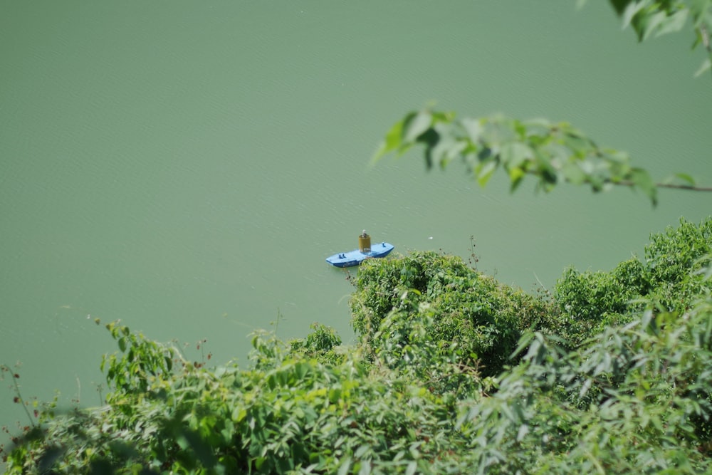 a bird flying over a body of water