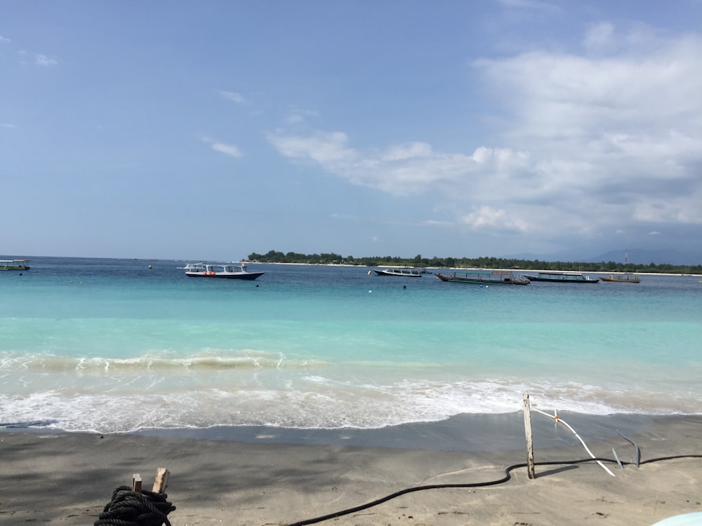 boats in the water