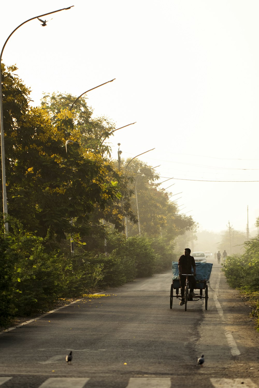 a person riding a horse carriage