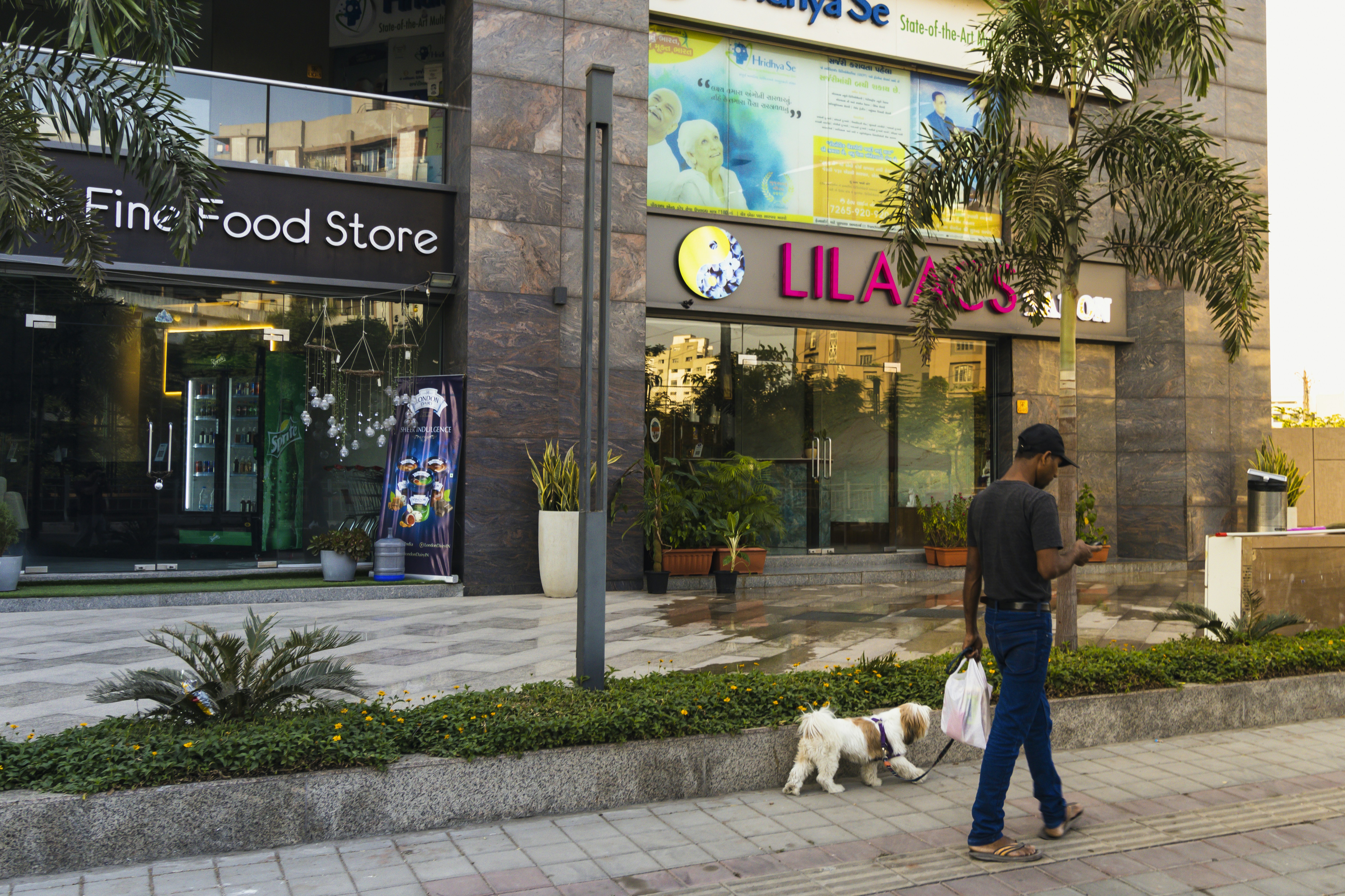 a person walks a dog