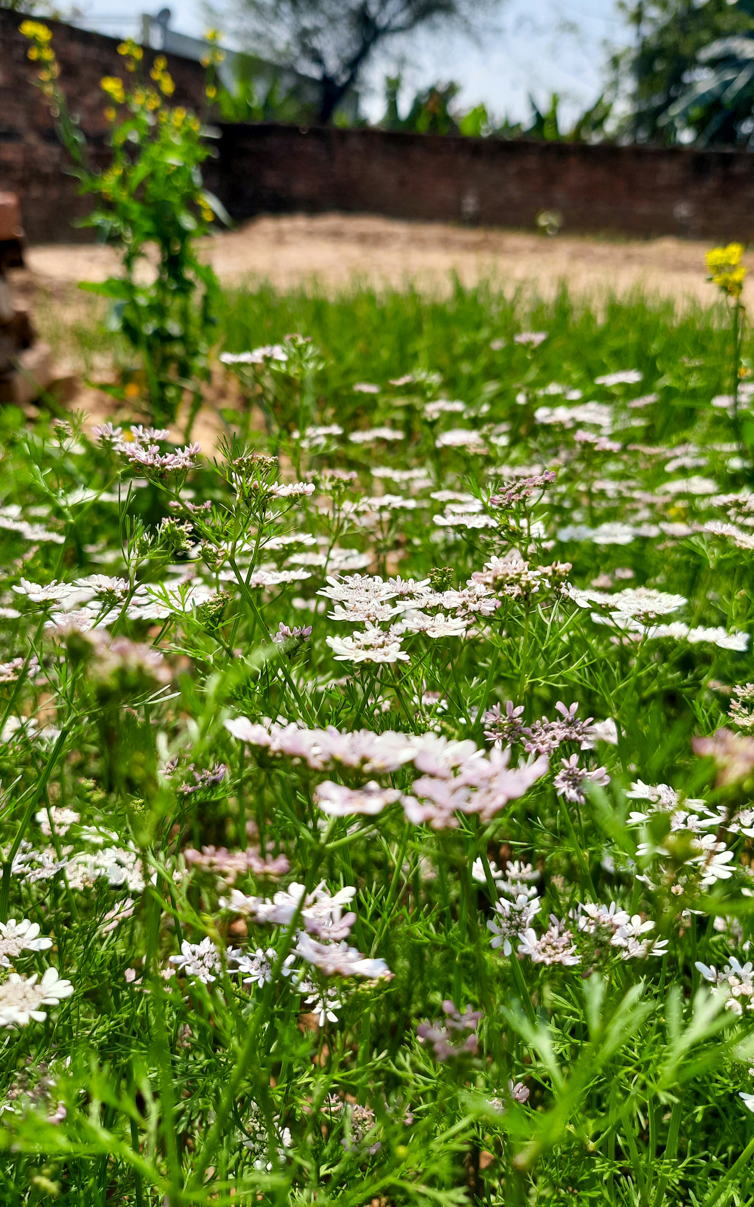 Photo by i_bluebell_i