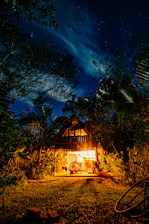 A cozy cabin nestled among tall pine trees under a starry night sky.