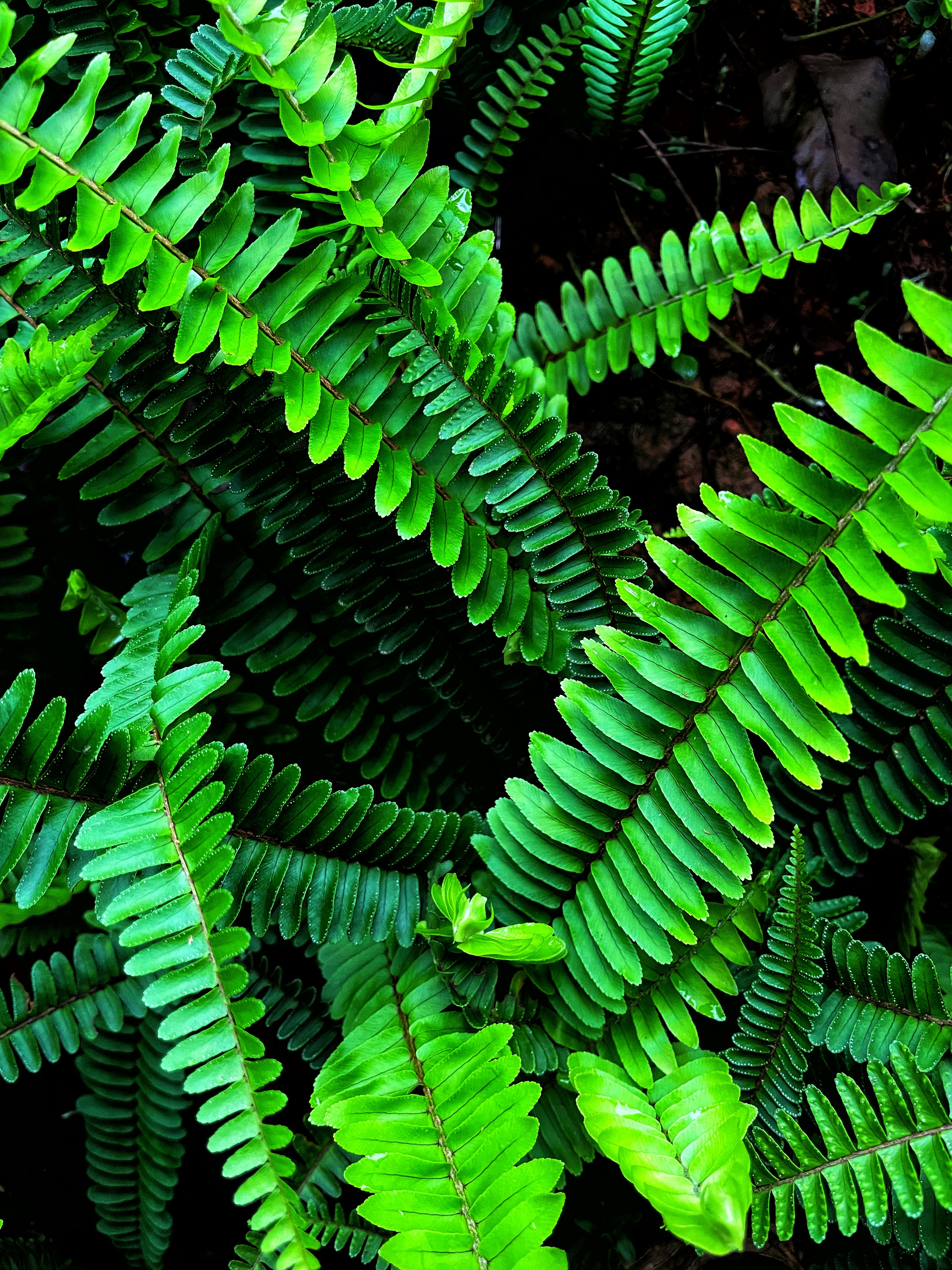 Photo by imagesbyjacob