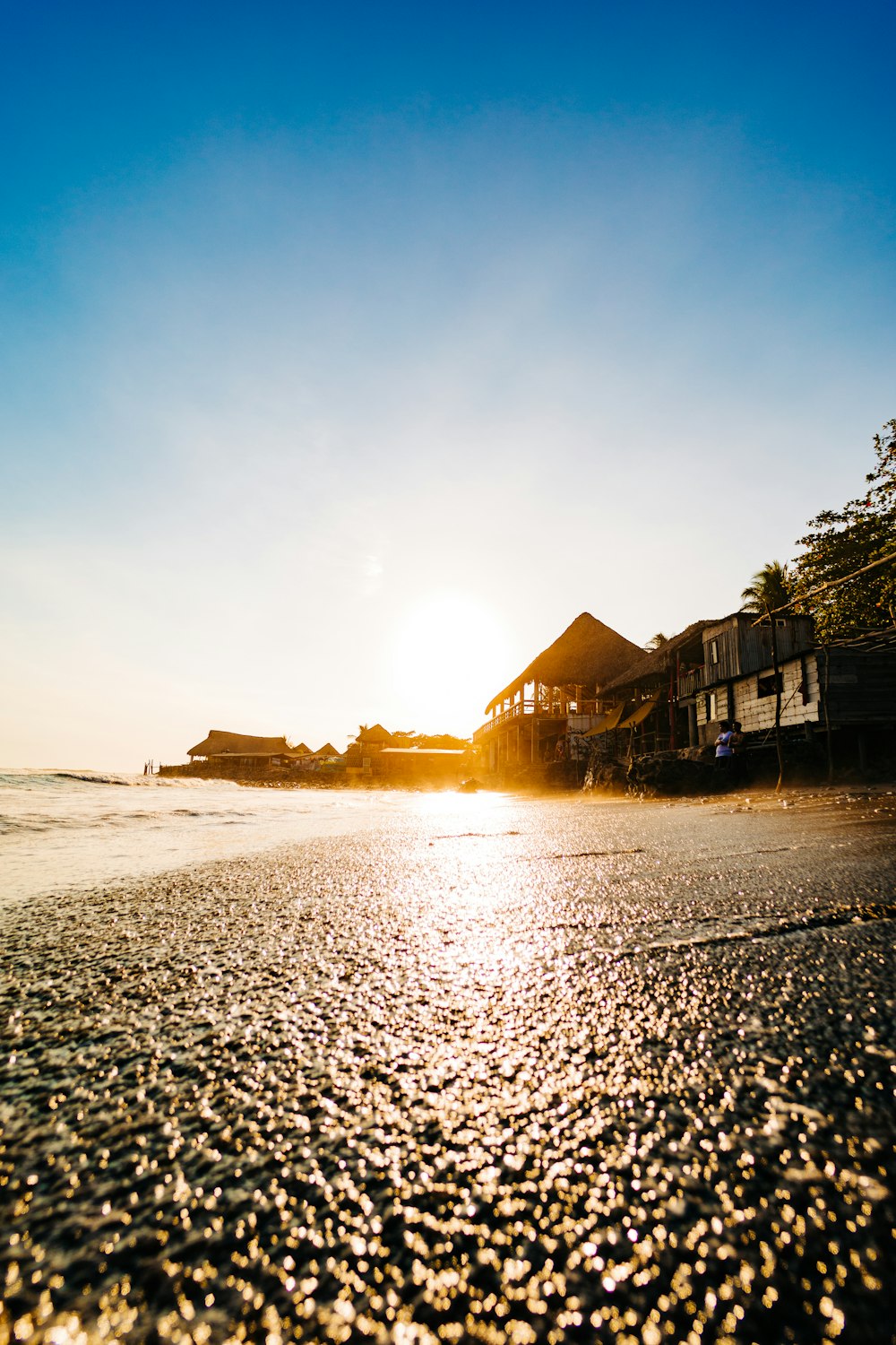 une plage avec des bâtiments et des arbres