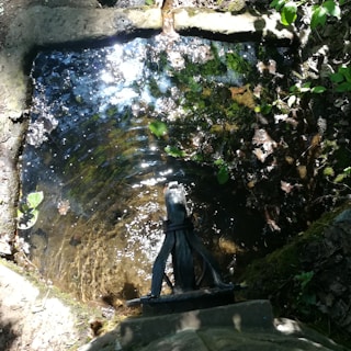 A small, square stone well filled with water reflecting sunlight, surrounded by green foliage. The well's edges are mossy, and there is a wooden or metal object protruding from the stone structure.