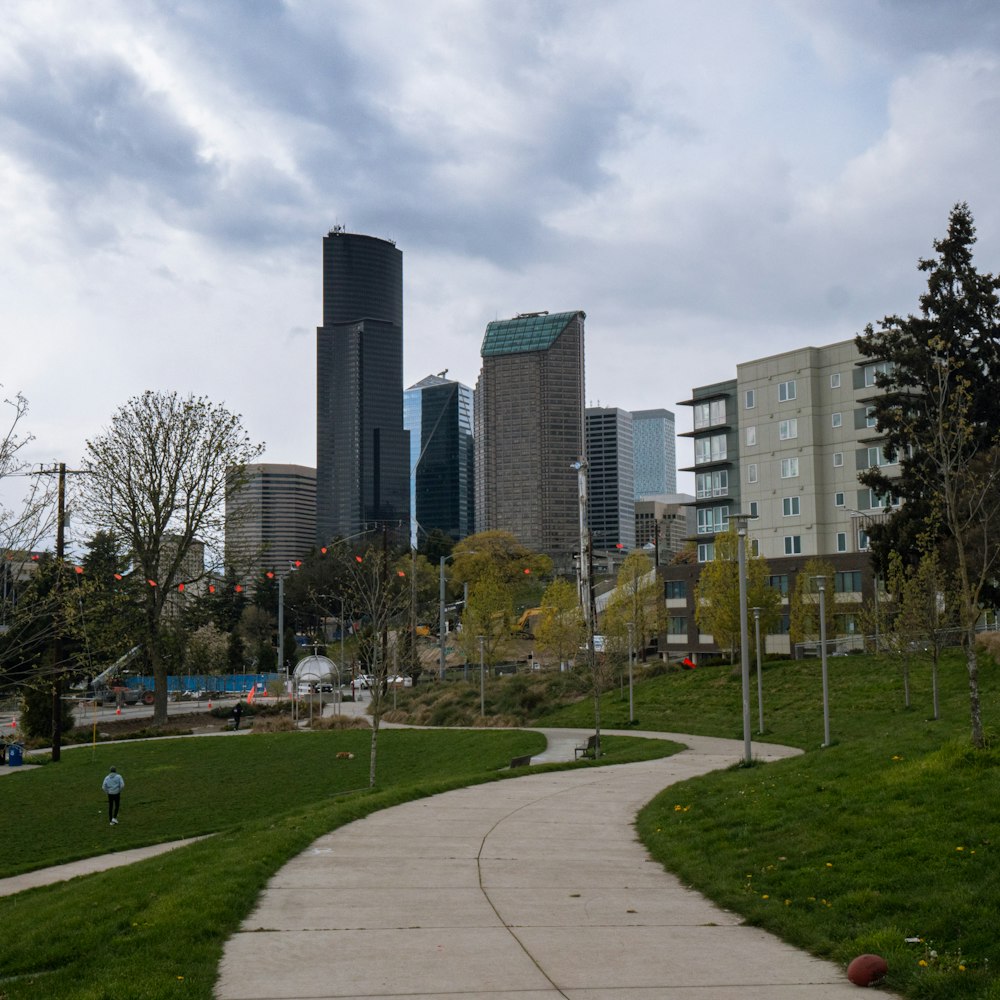 a park with a path and trees and buildings in the background