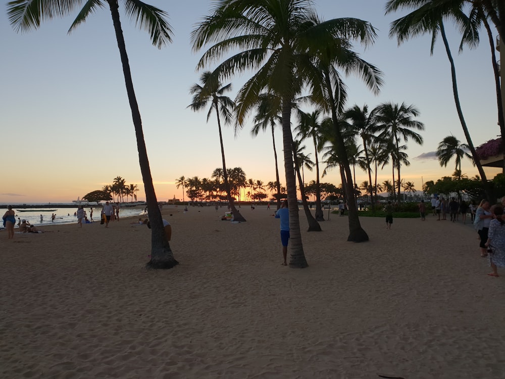 a group of people on a beach