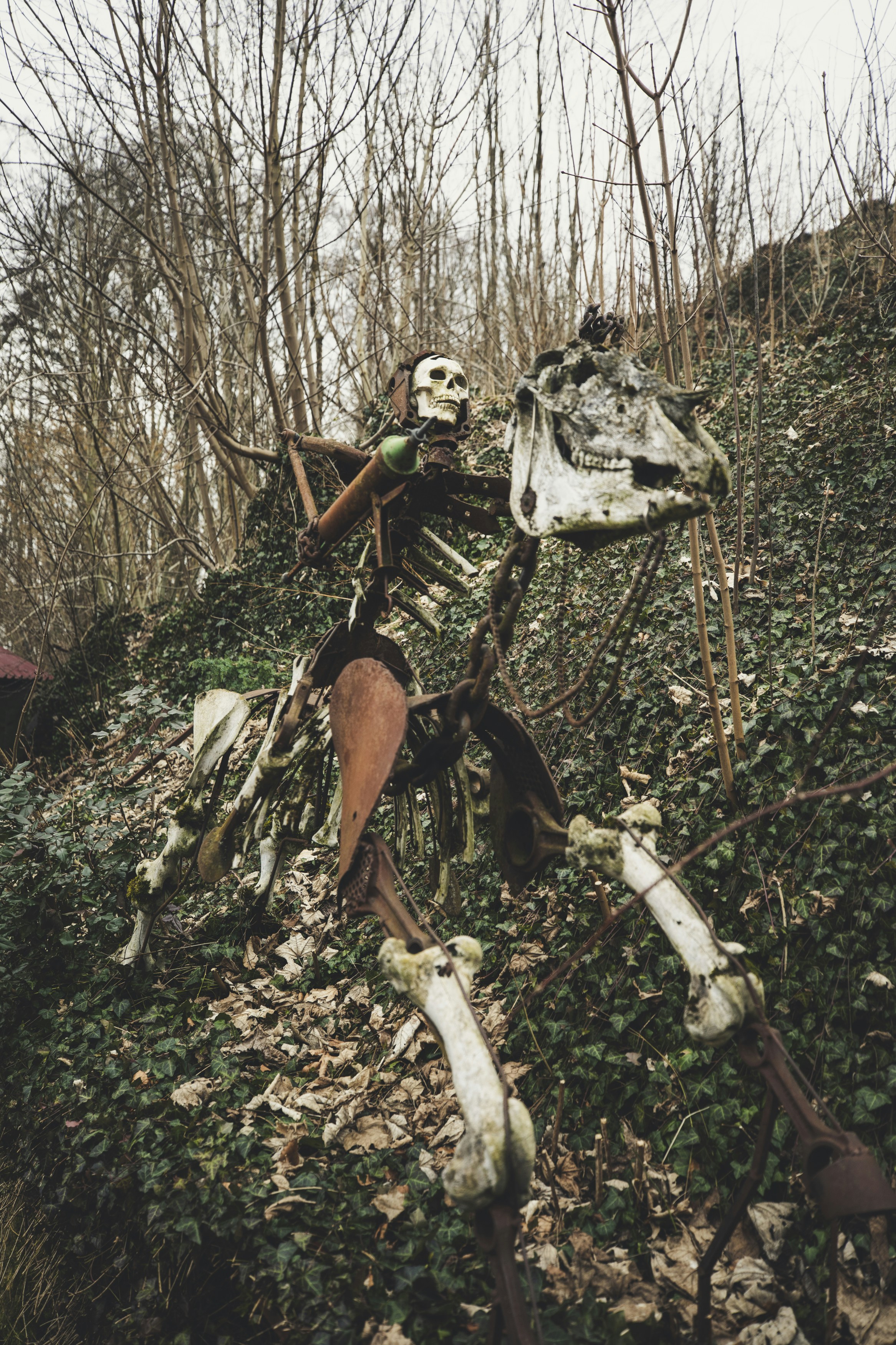 un groupe d’arbres avec des branches et des feuilles