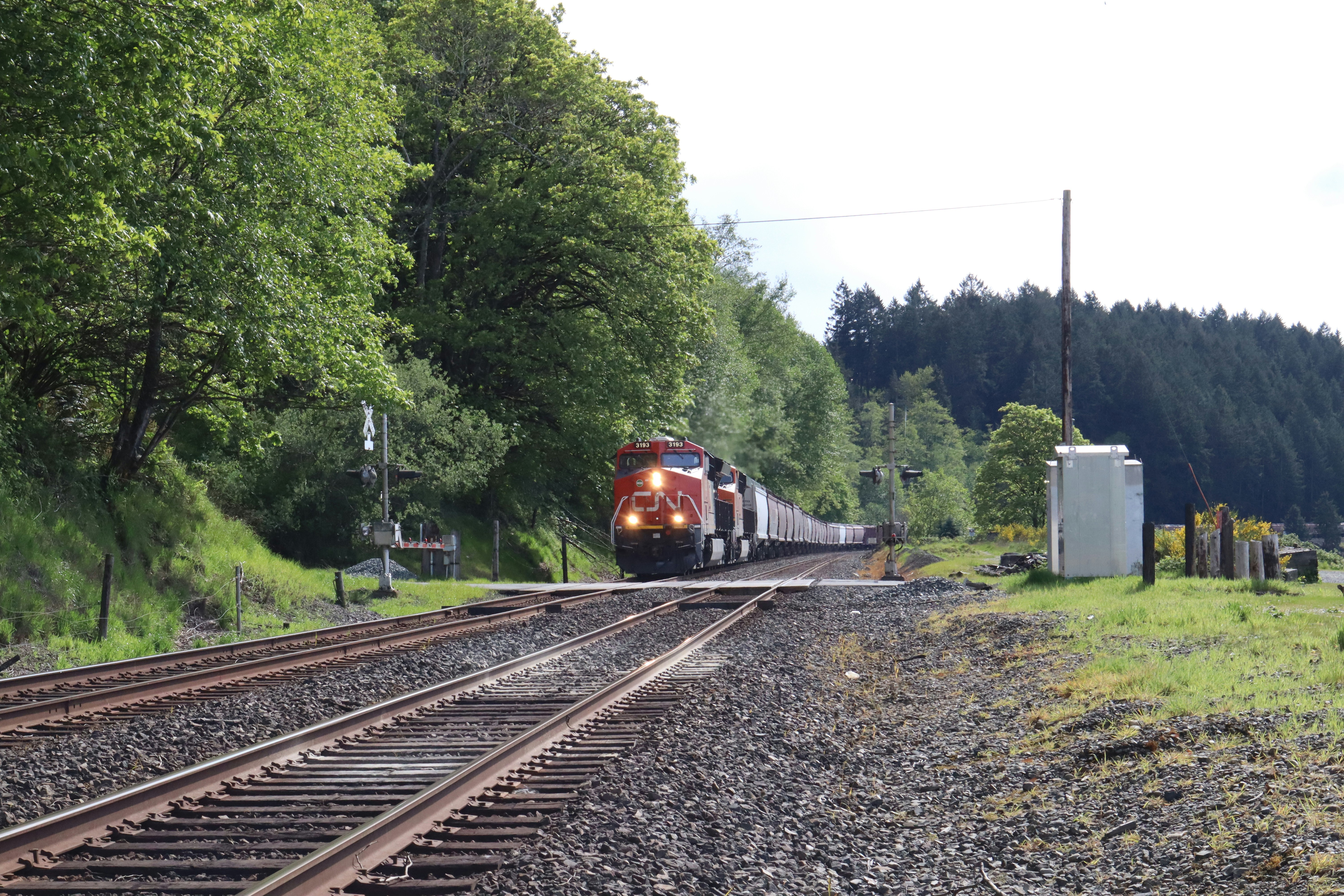 Photo by espinozadventure