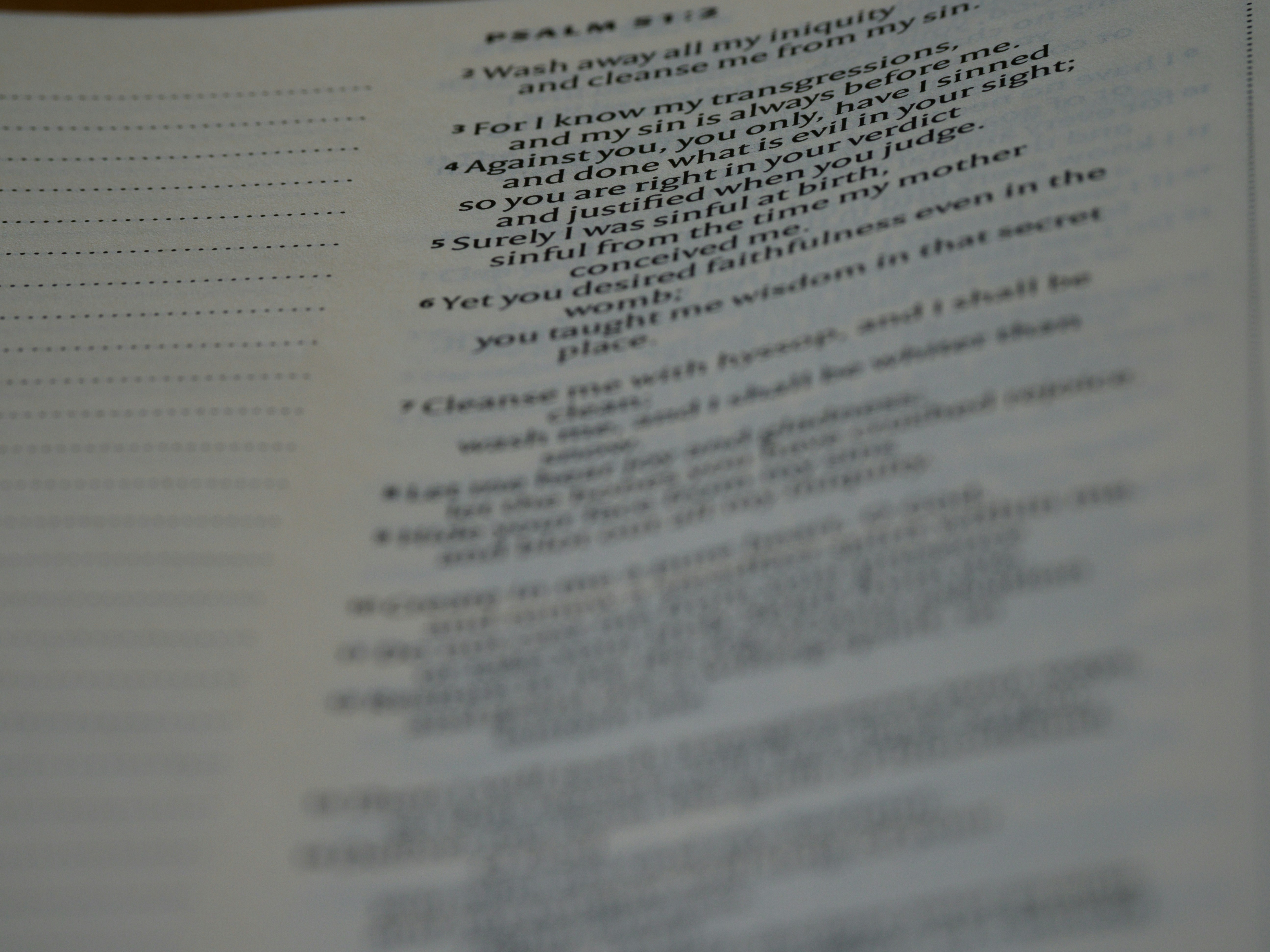 Photo by brett_jordan