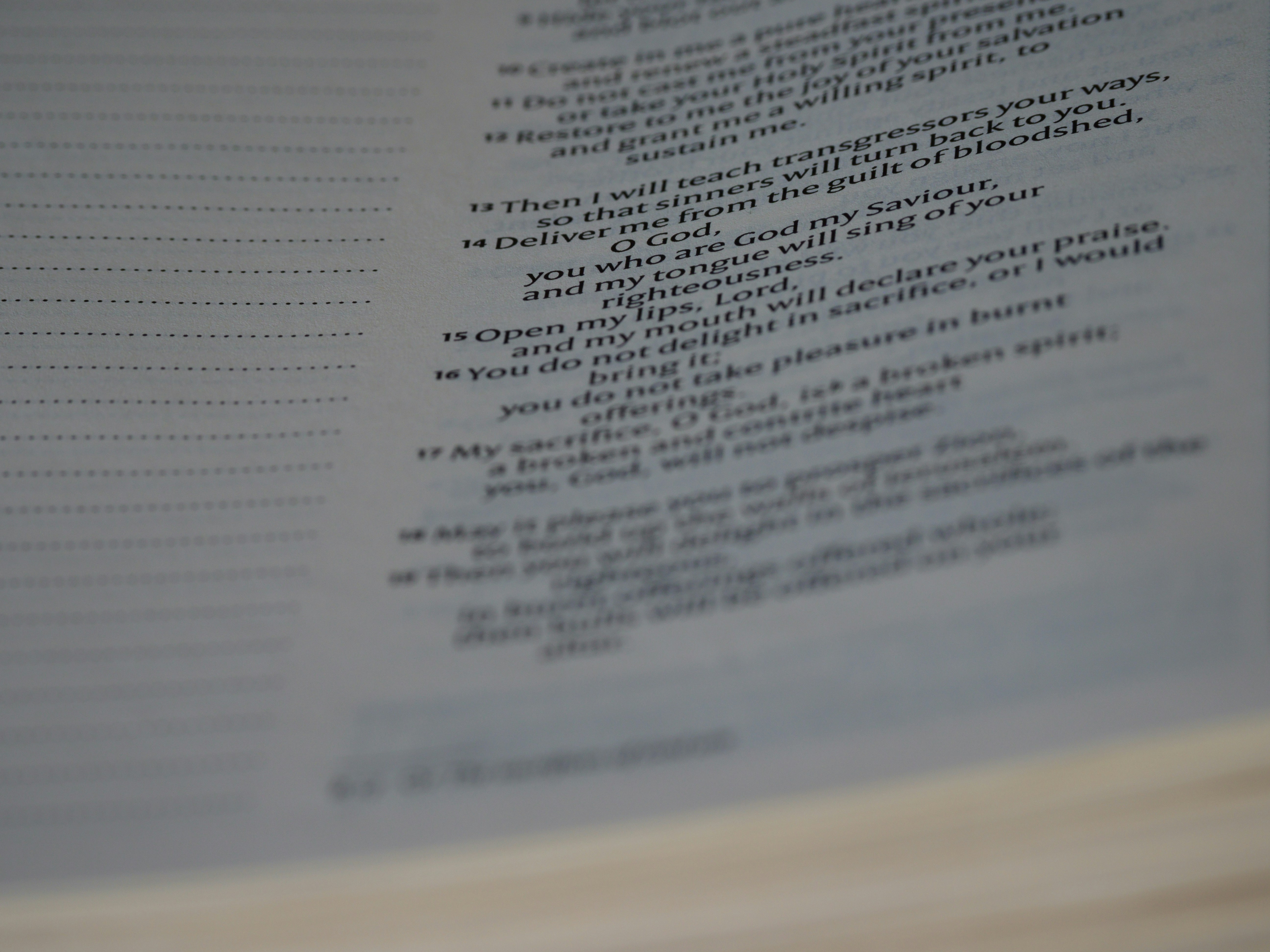 Photo by brett_jordan