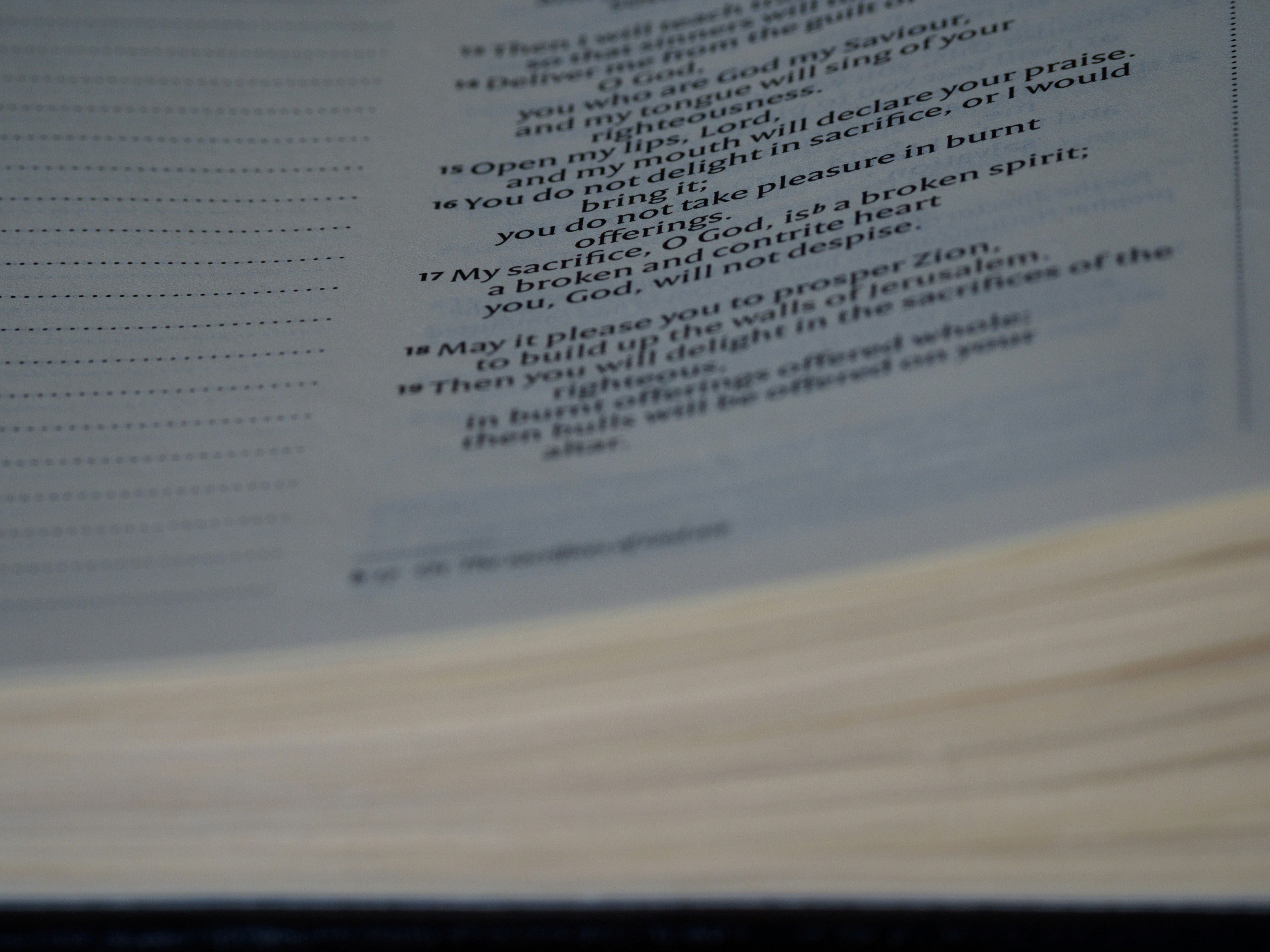 Penerjemah Dokumen Hukum Resmi & Tersumpah