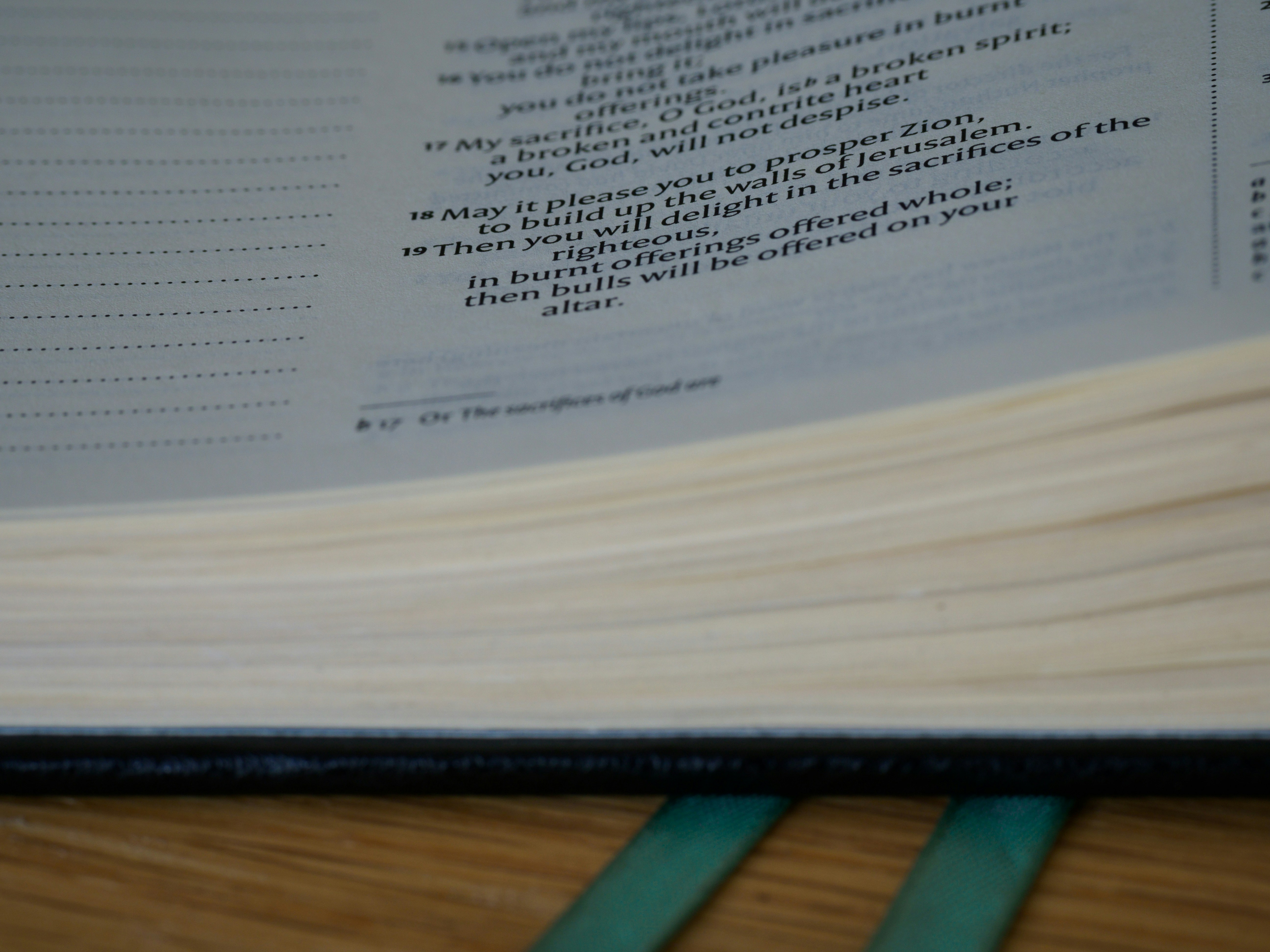 Photo by brett_jordan