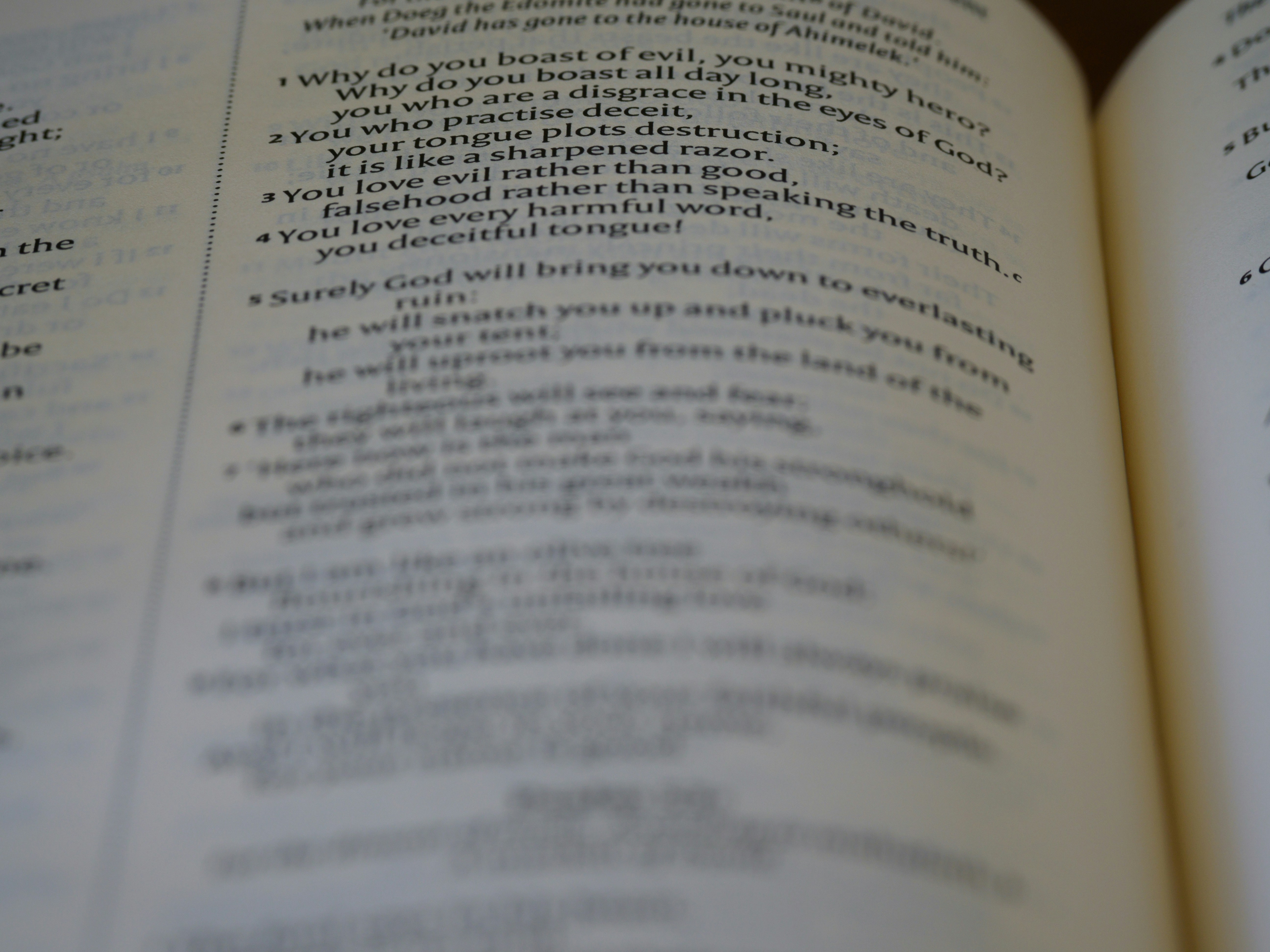 Photo by brett_jordan