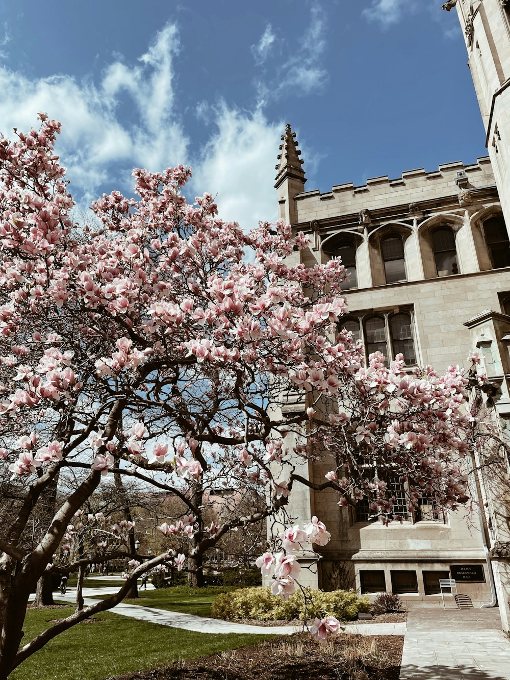 a building with a large archway and pink flowers in front of it