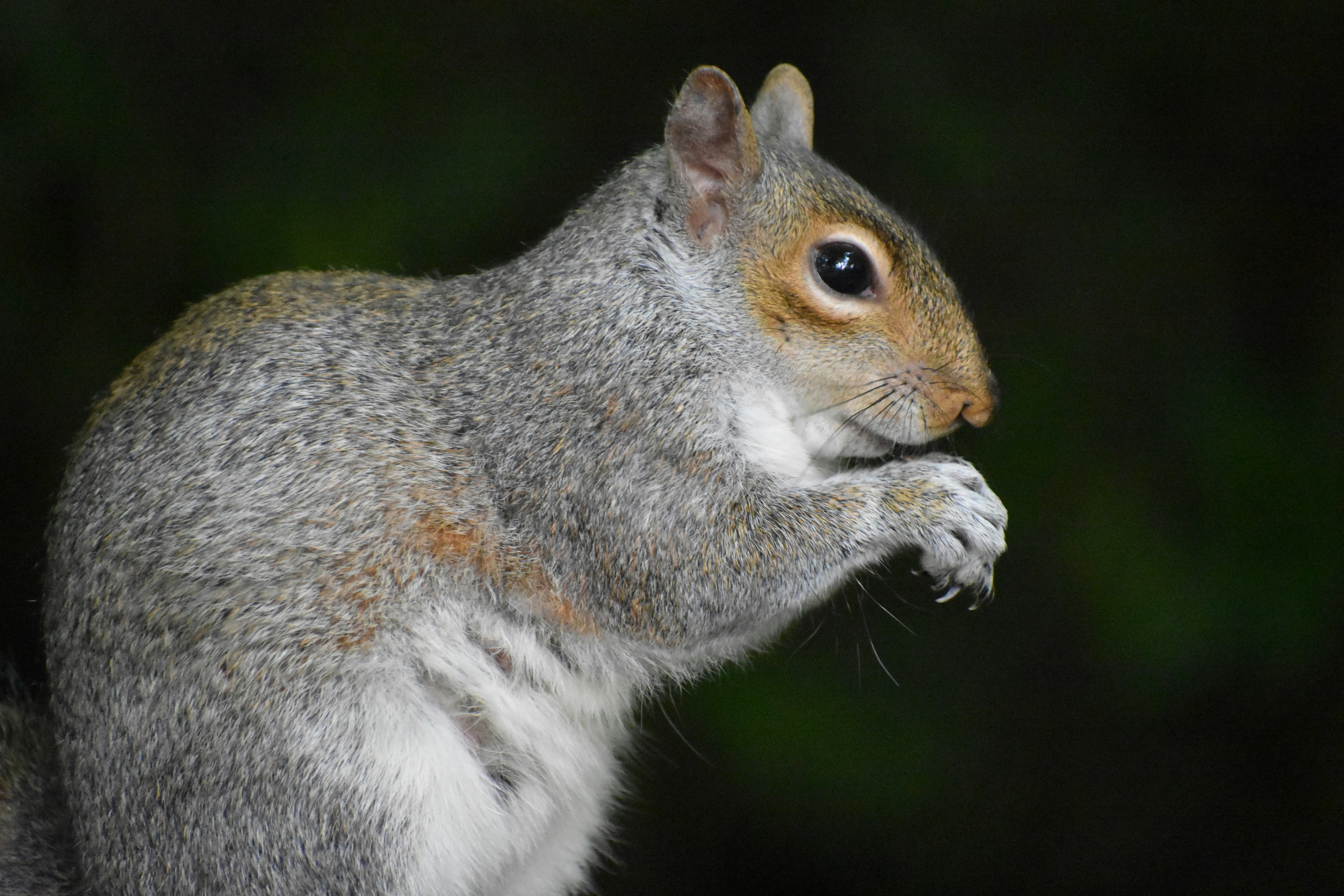 Photo by andrew_hall