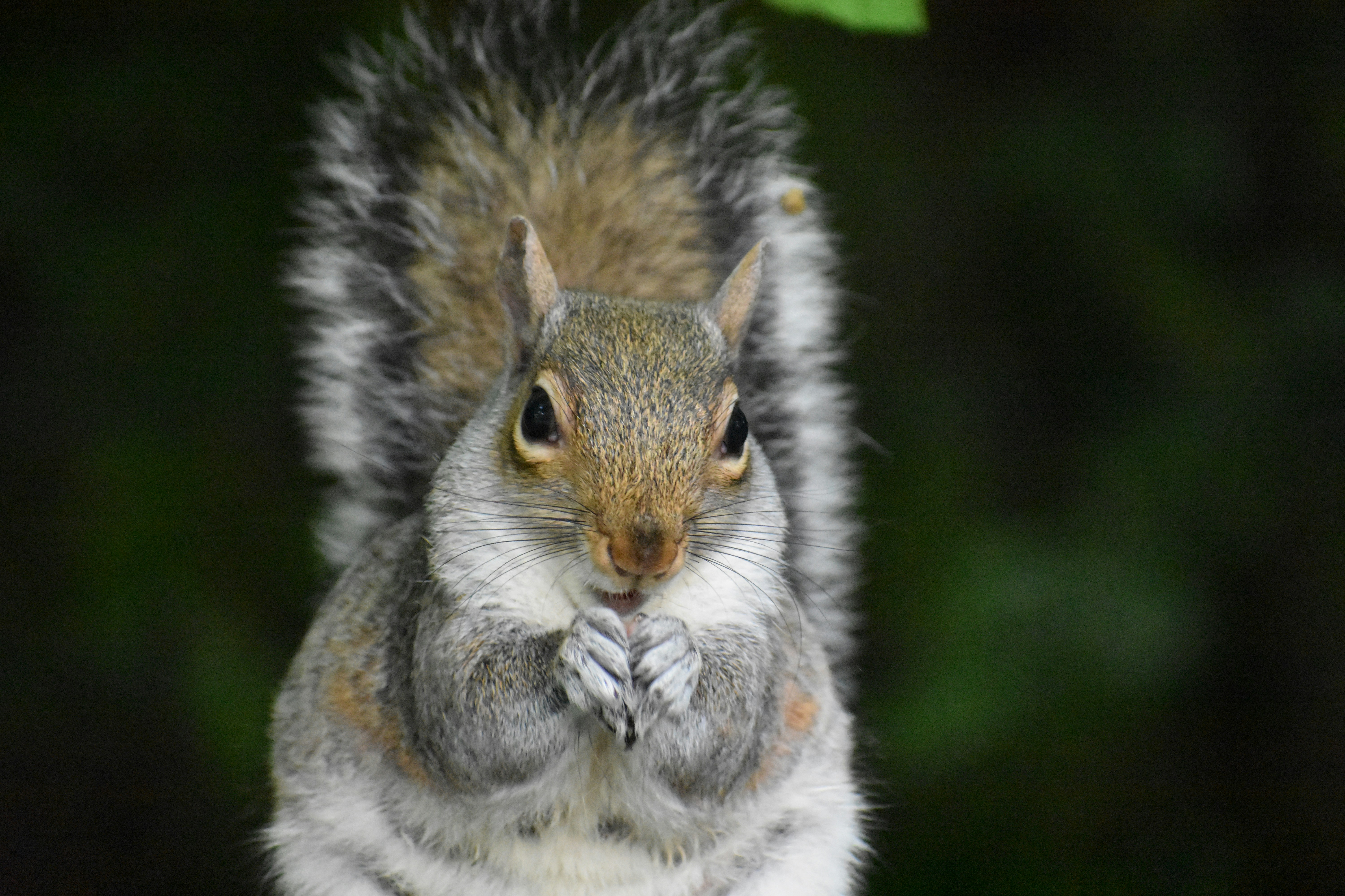 Photo by andrew_hall