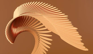 a close up of a feather