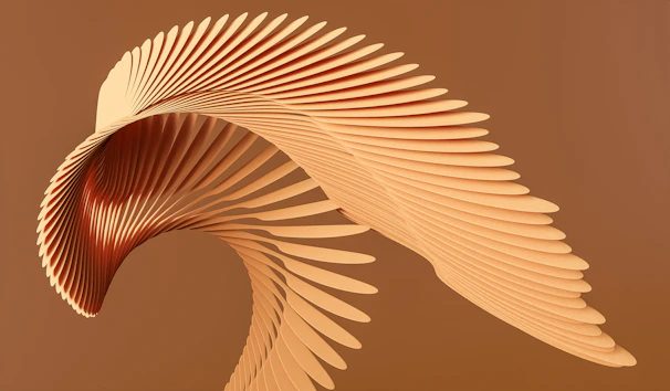 a close up of a feather
