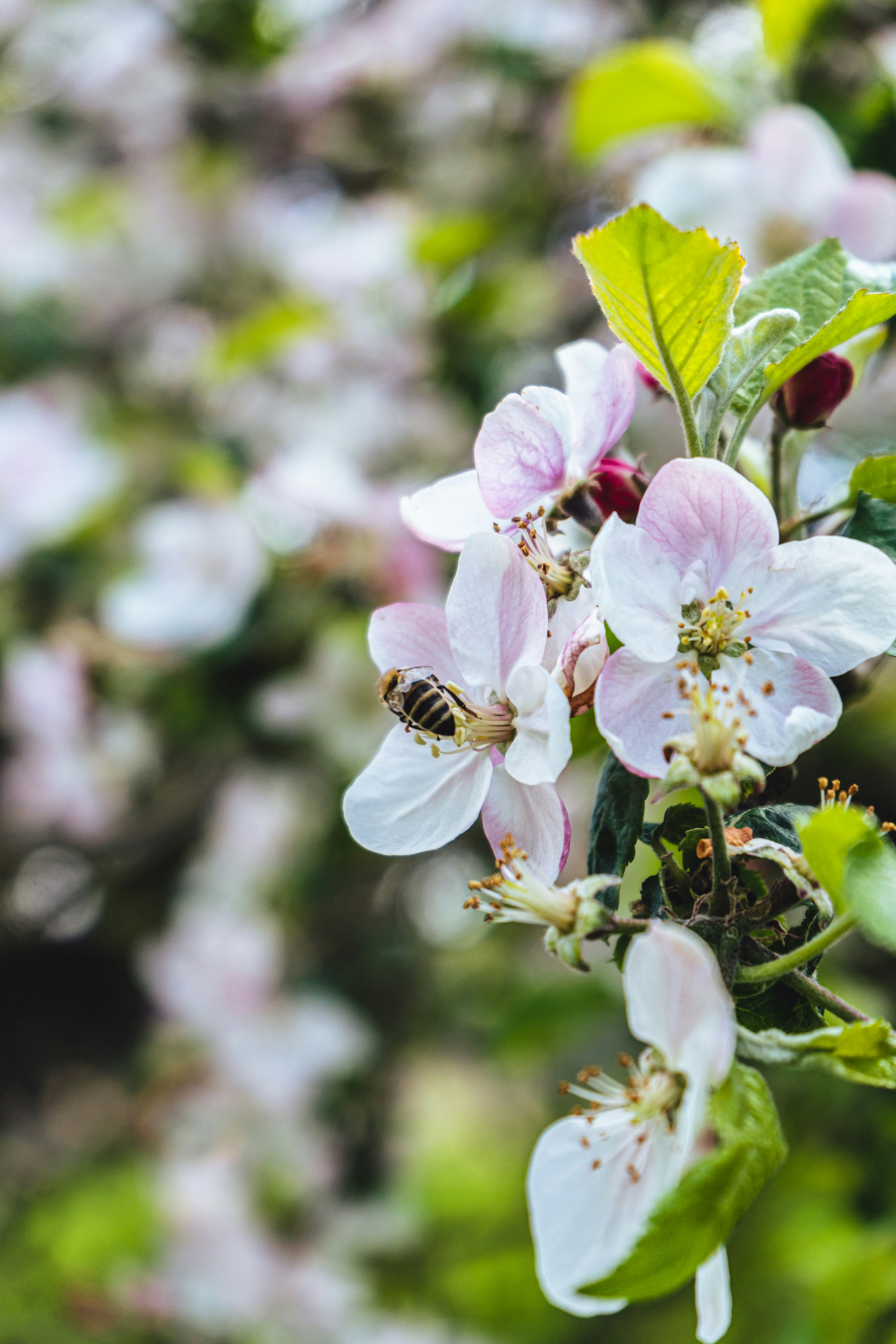 Photo by virussinside