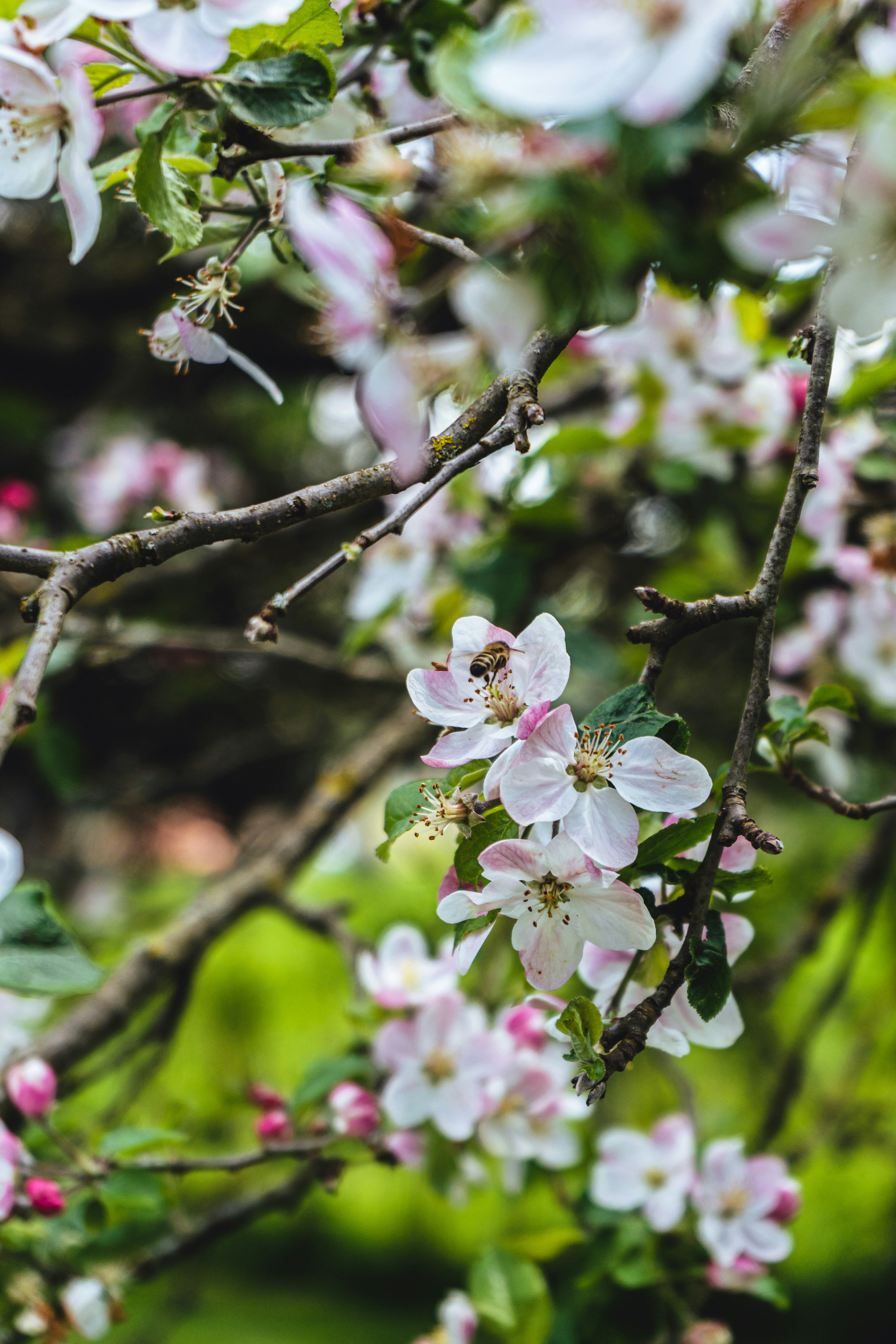 Photo by virussinside