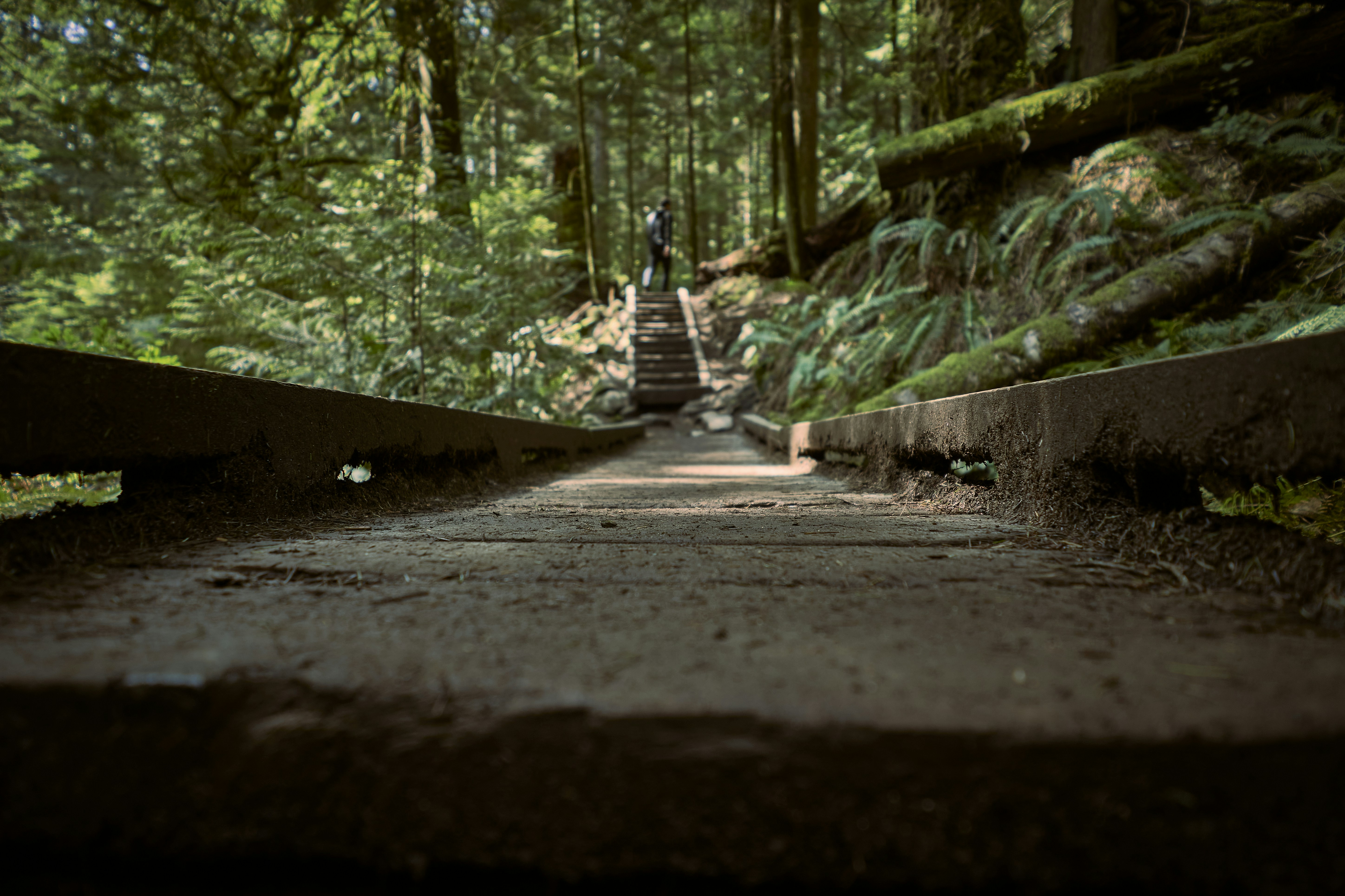 a person walking up a staircase in a forest
