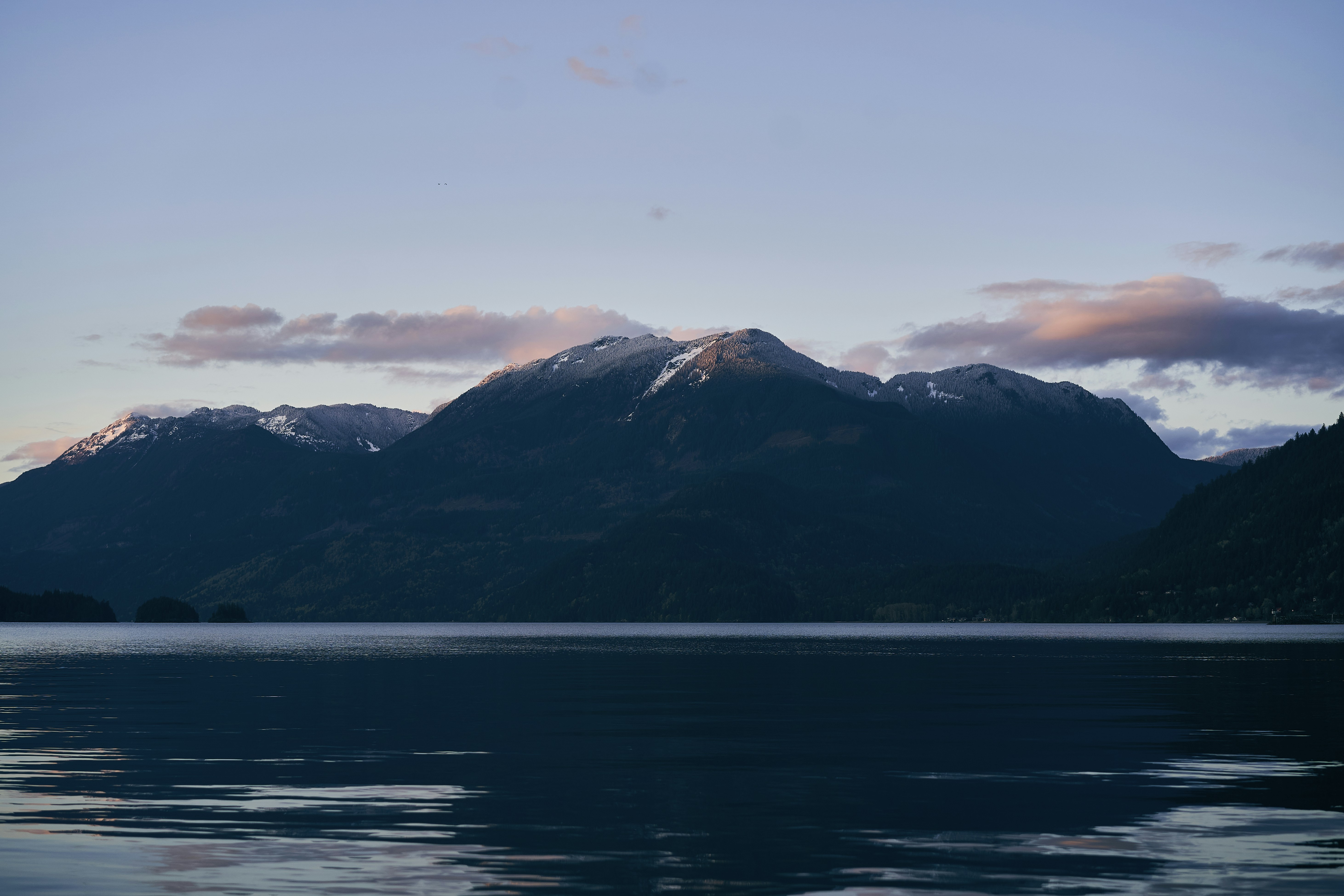 Photo by suicide_chewbacca