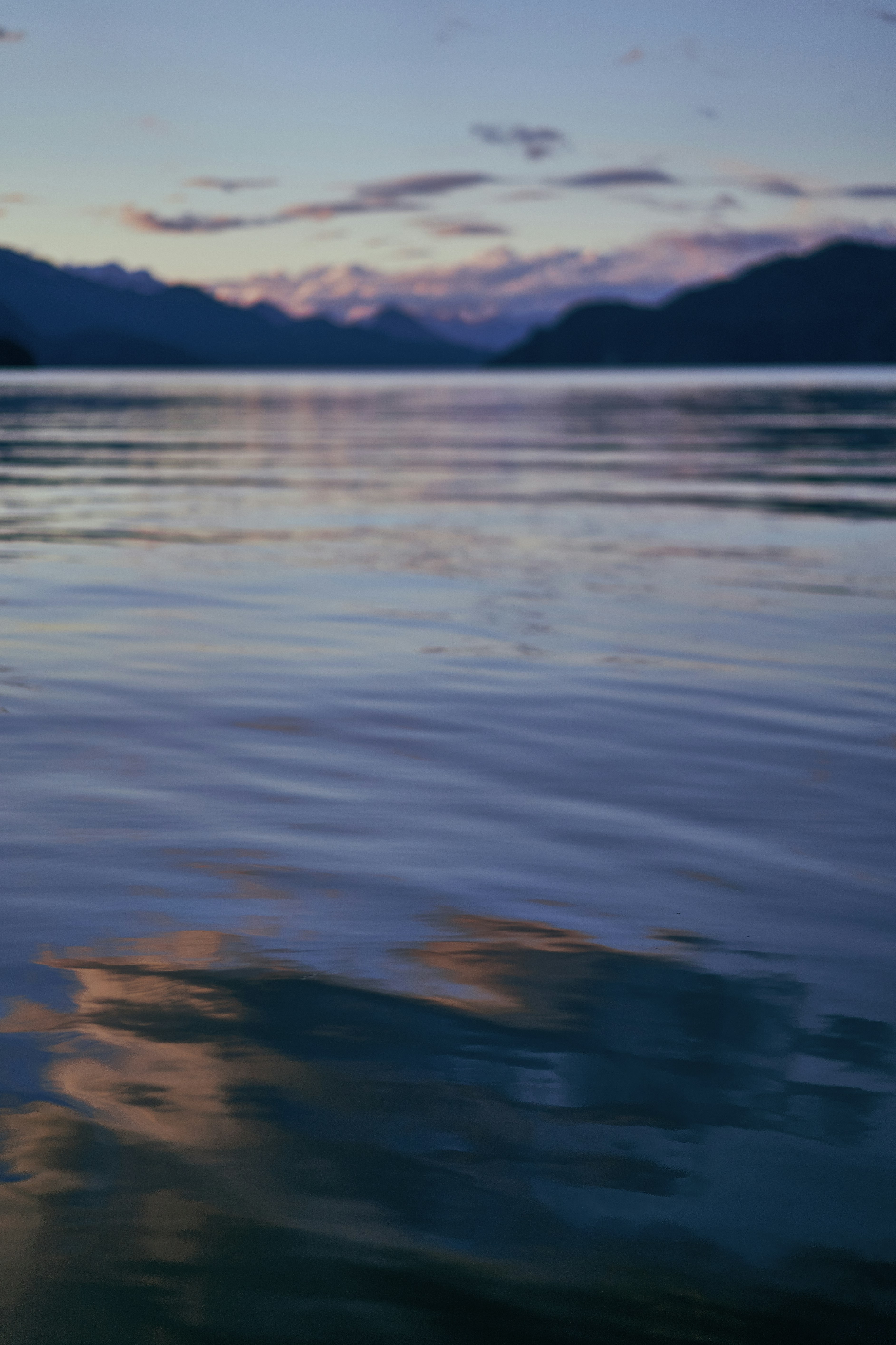 Photo by suicide_chewbacca