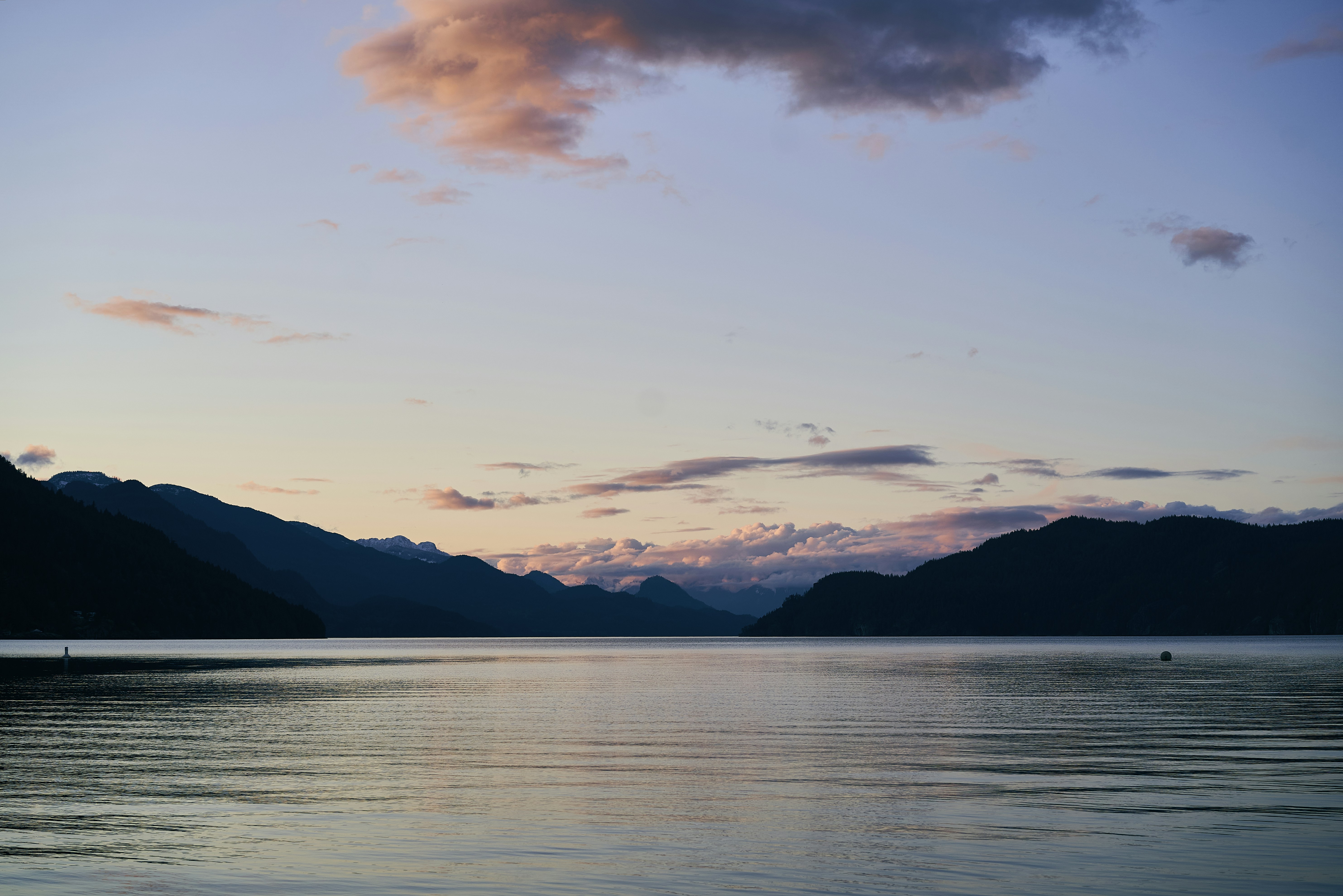 Photo by suicide_chewbacca