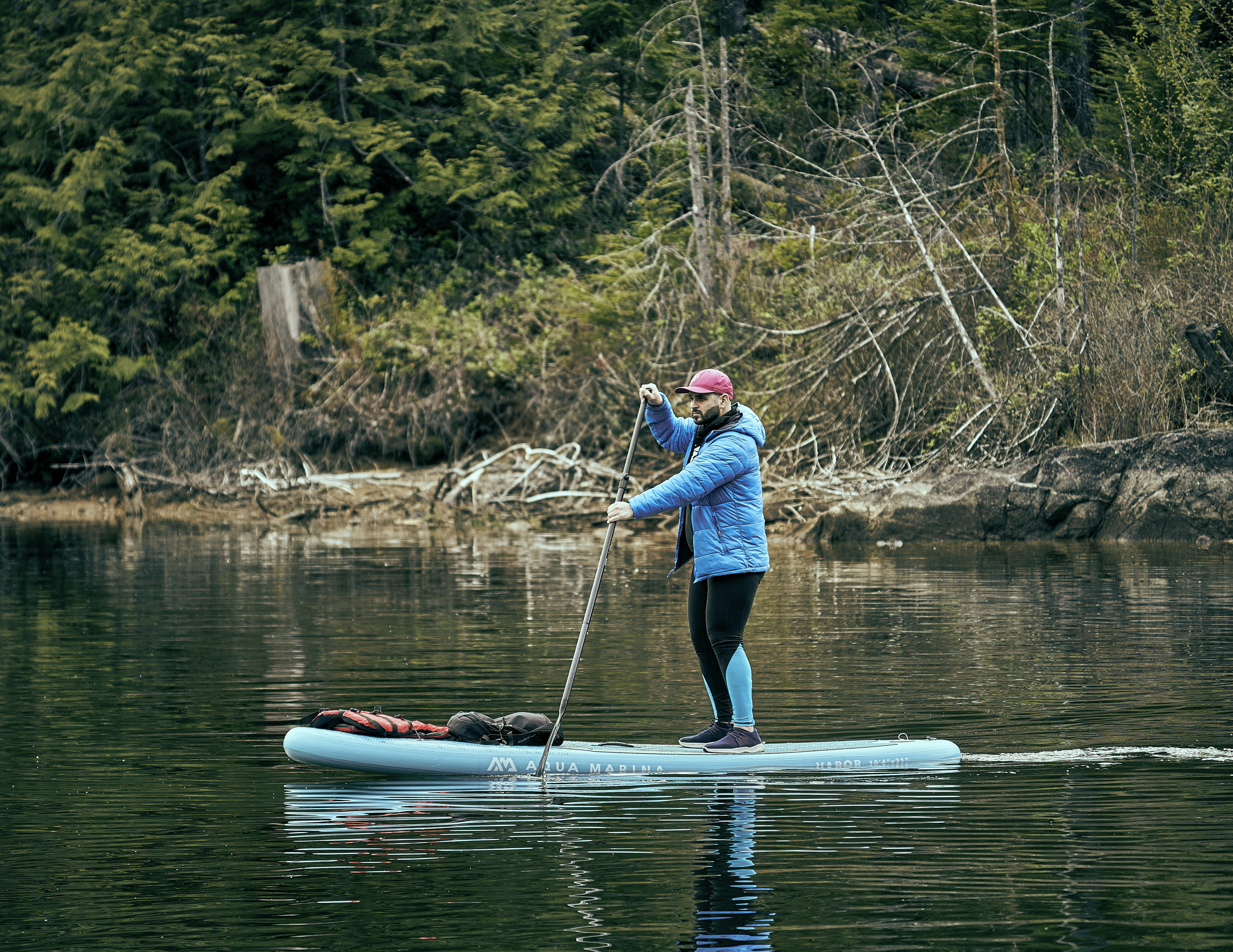 a person on a paddle board with a dog on it