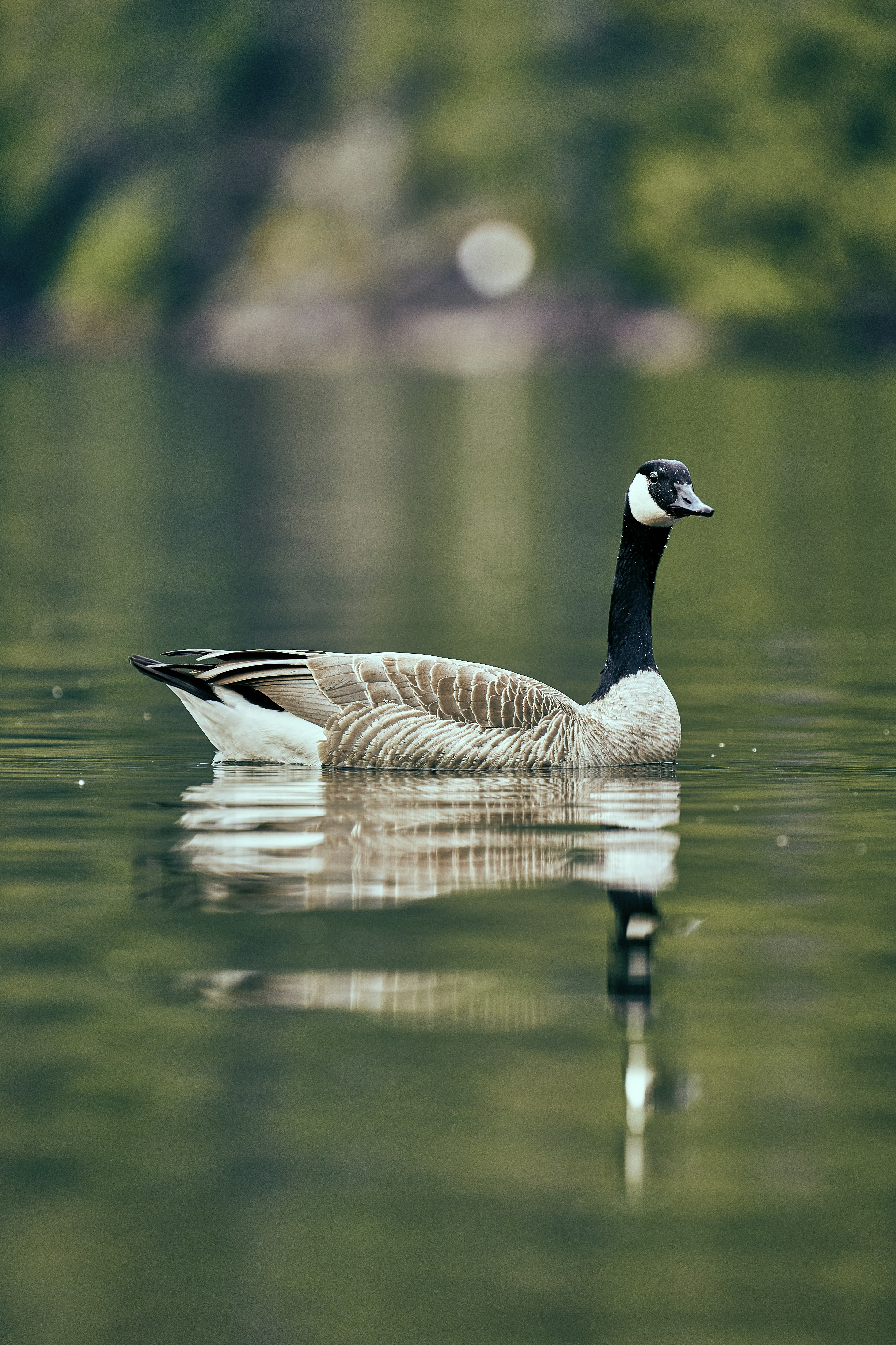 Photo by suicide_chewbacca