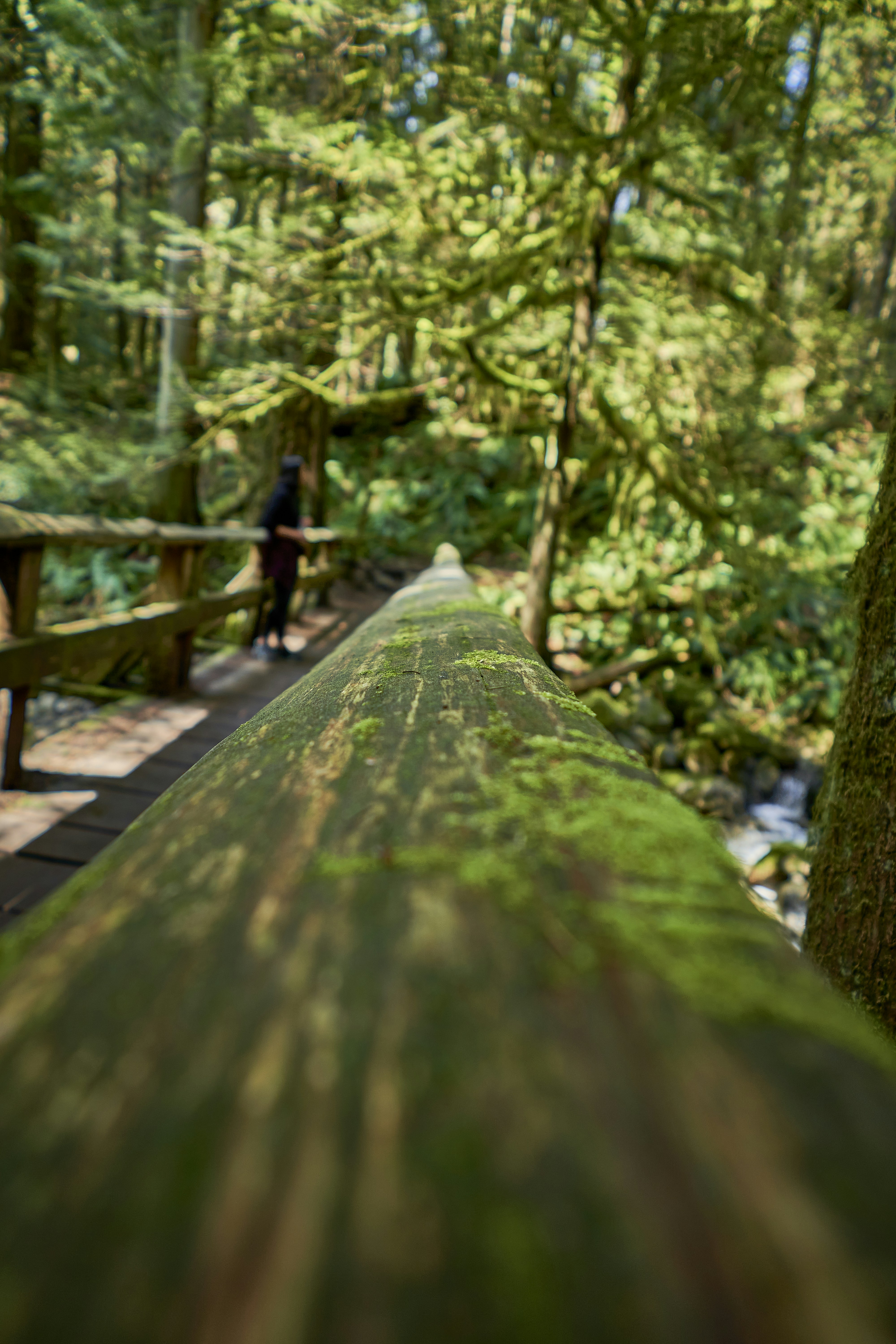 Photo by suicide_chewbacca