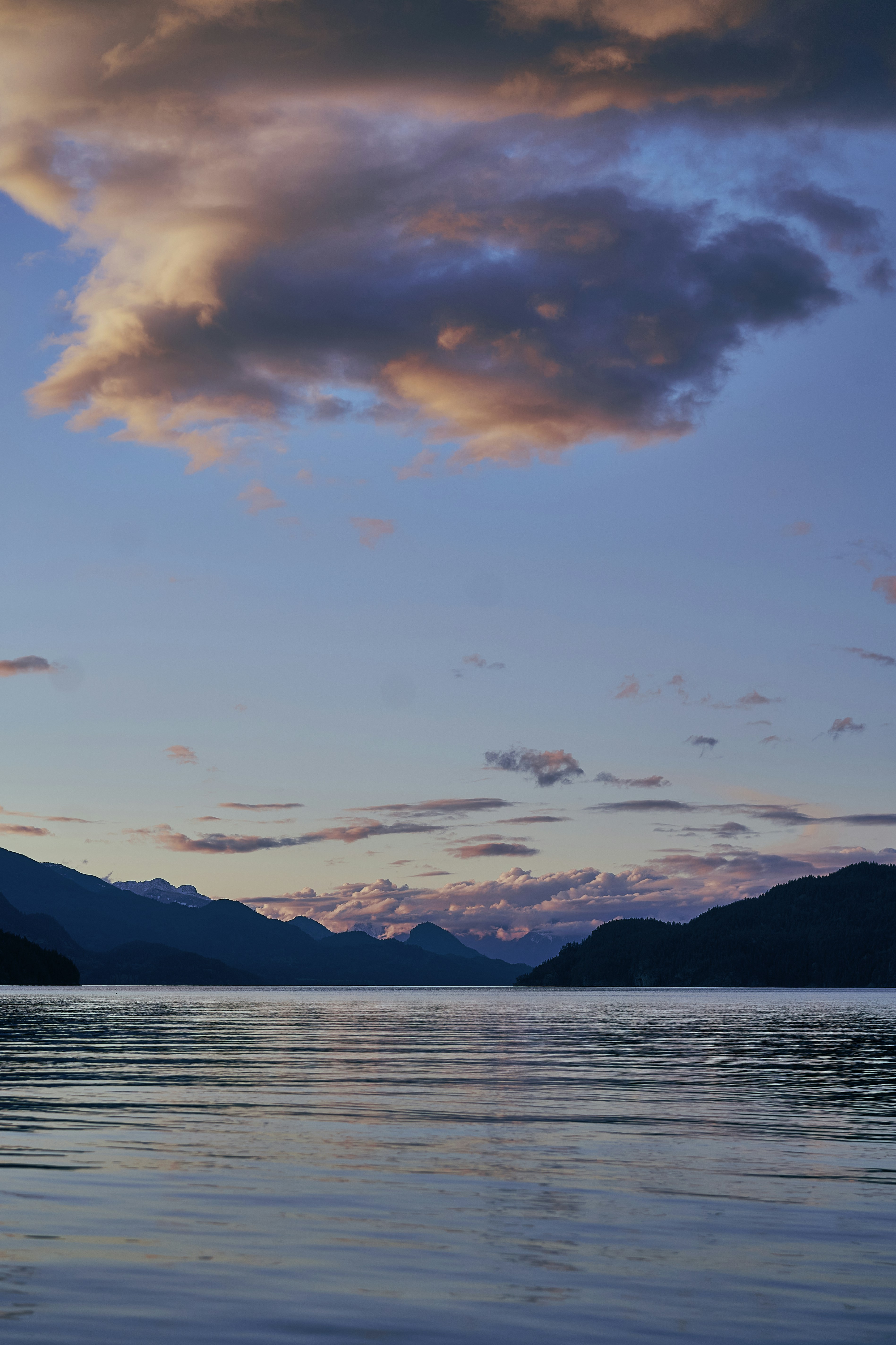 Photo by suicide_chewbacca