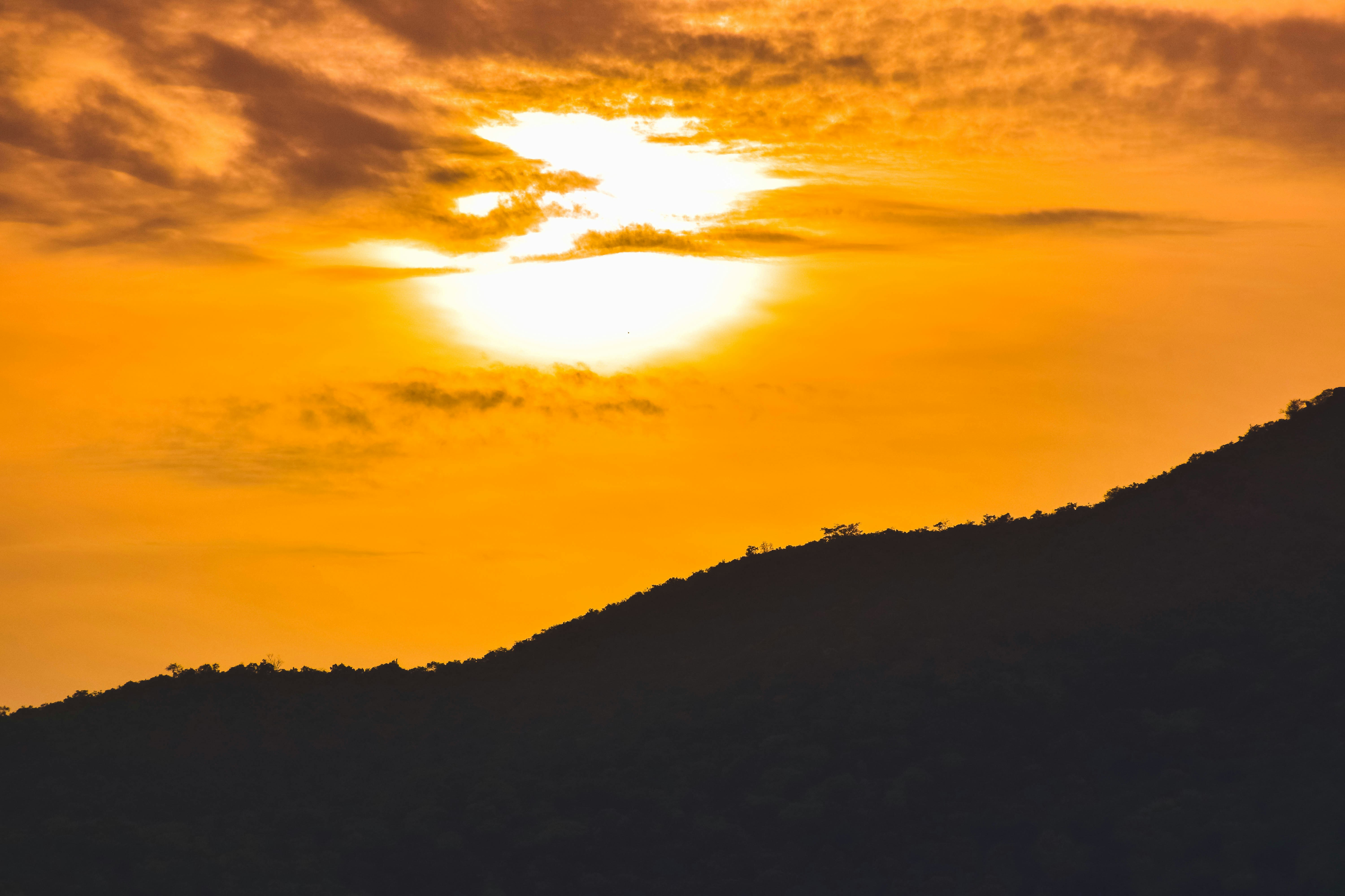 Photo by navi_photography