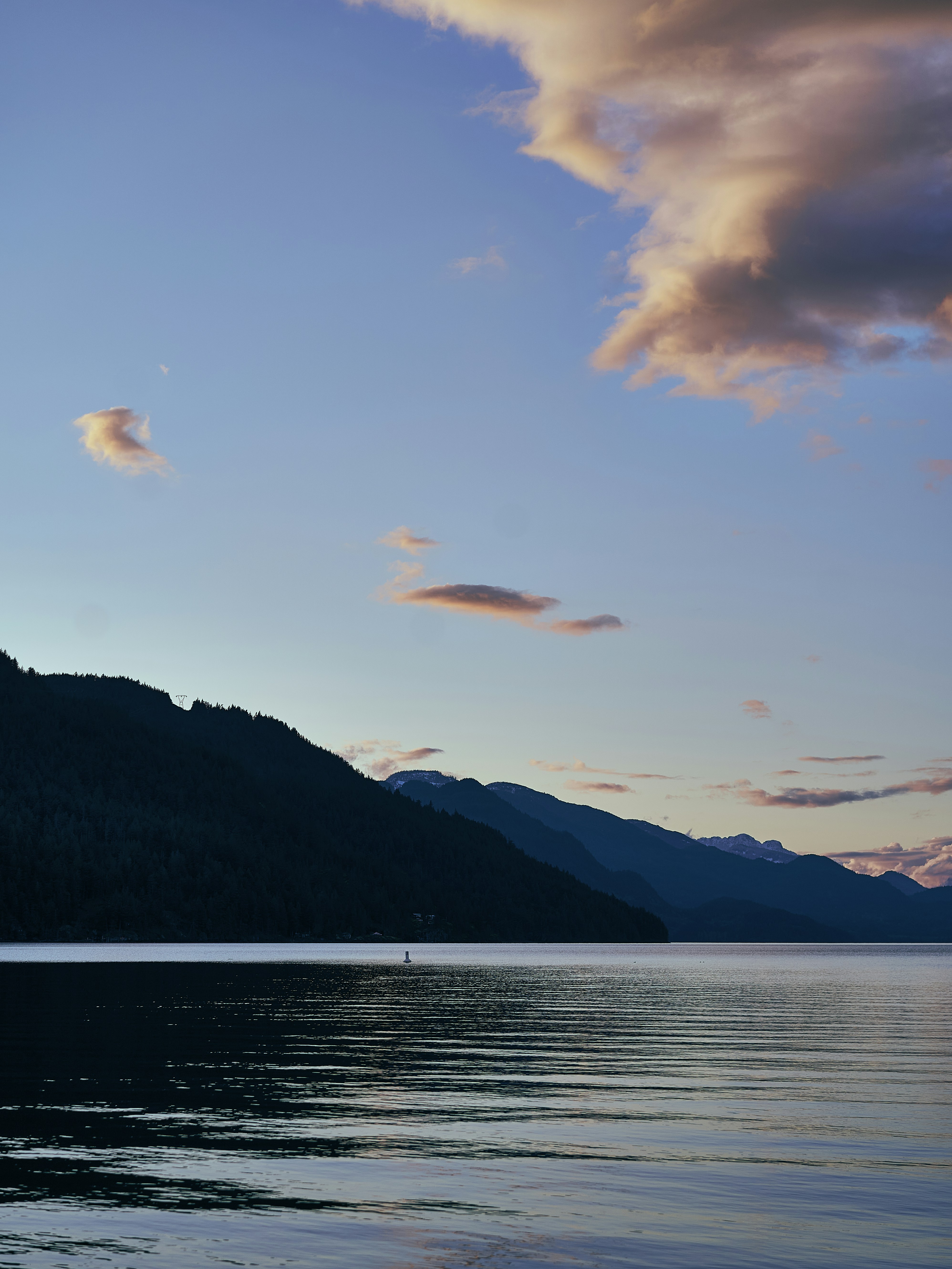 Photo by suicide_chewbacca