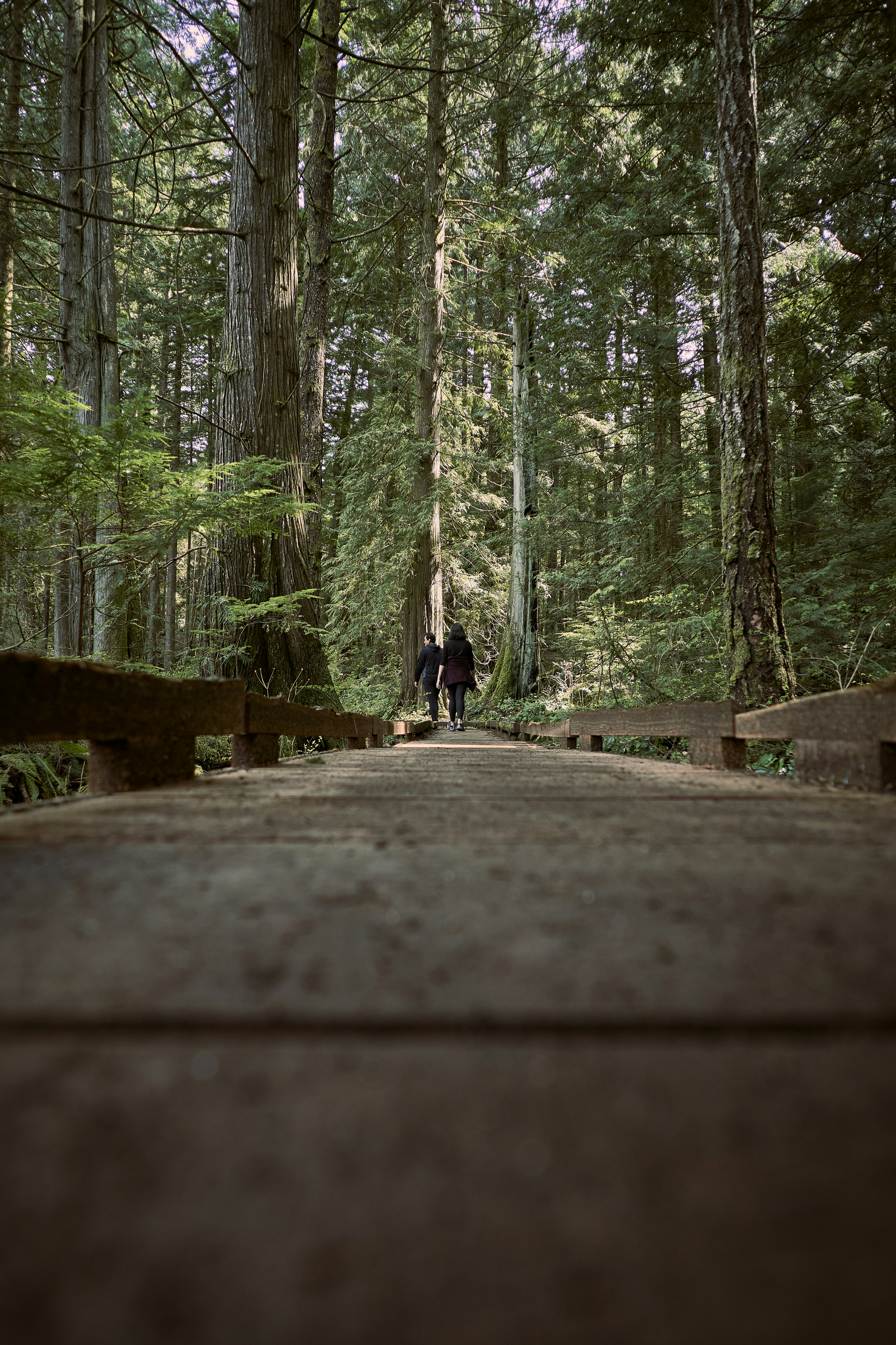 Photo by suicide_chewbacca