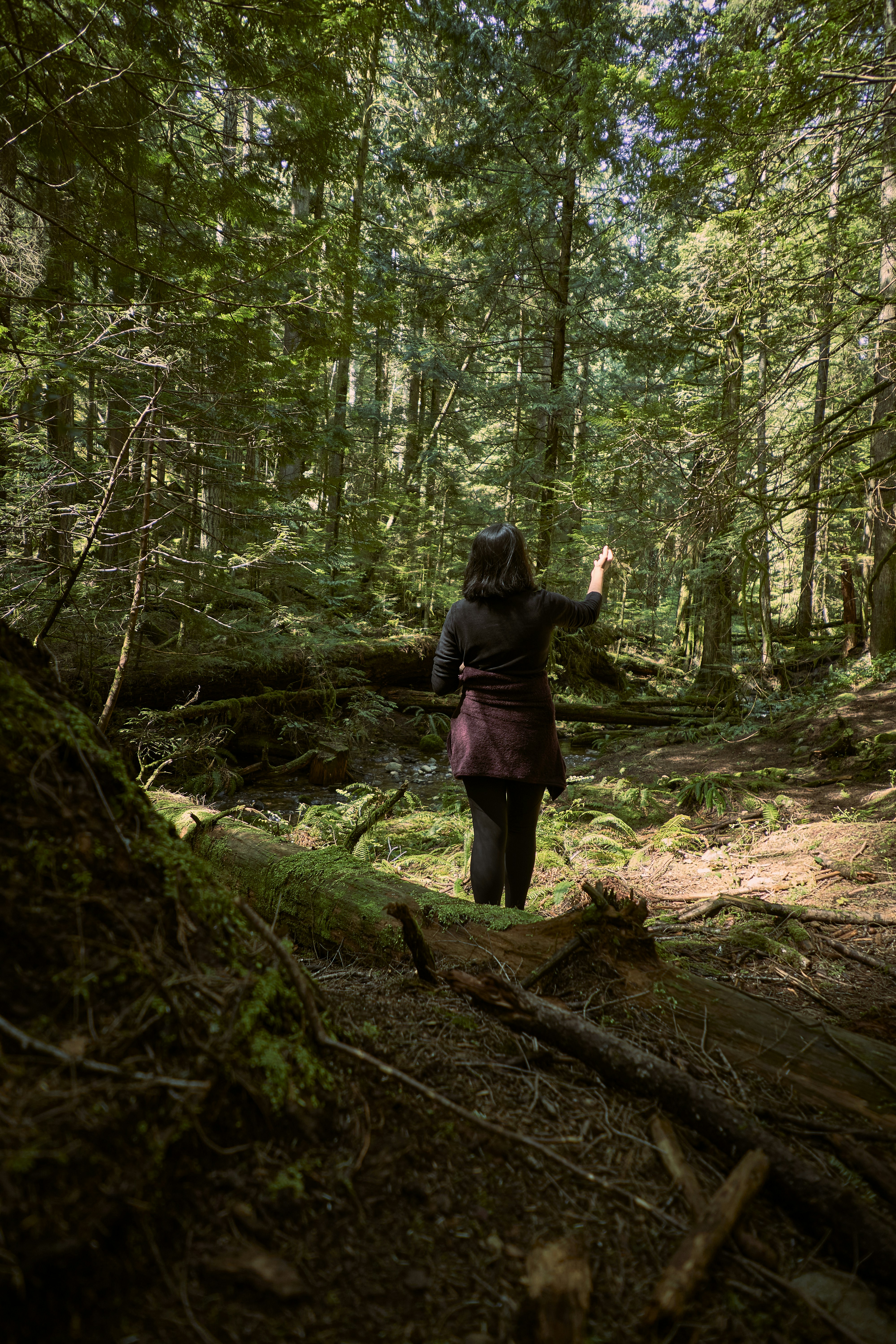 a person standing on a fallen tree