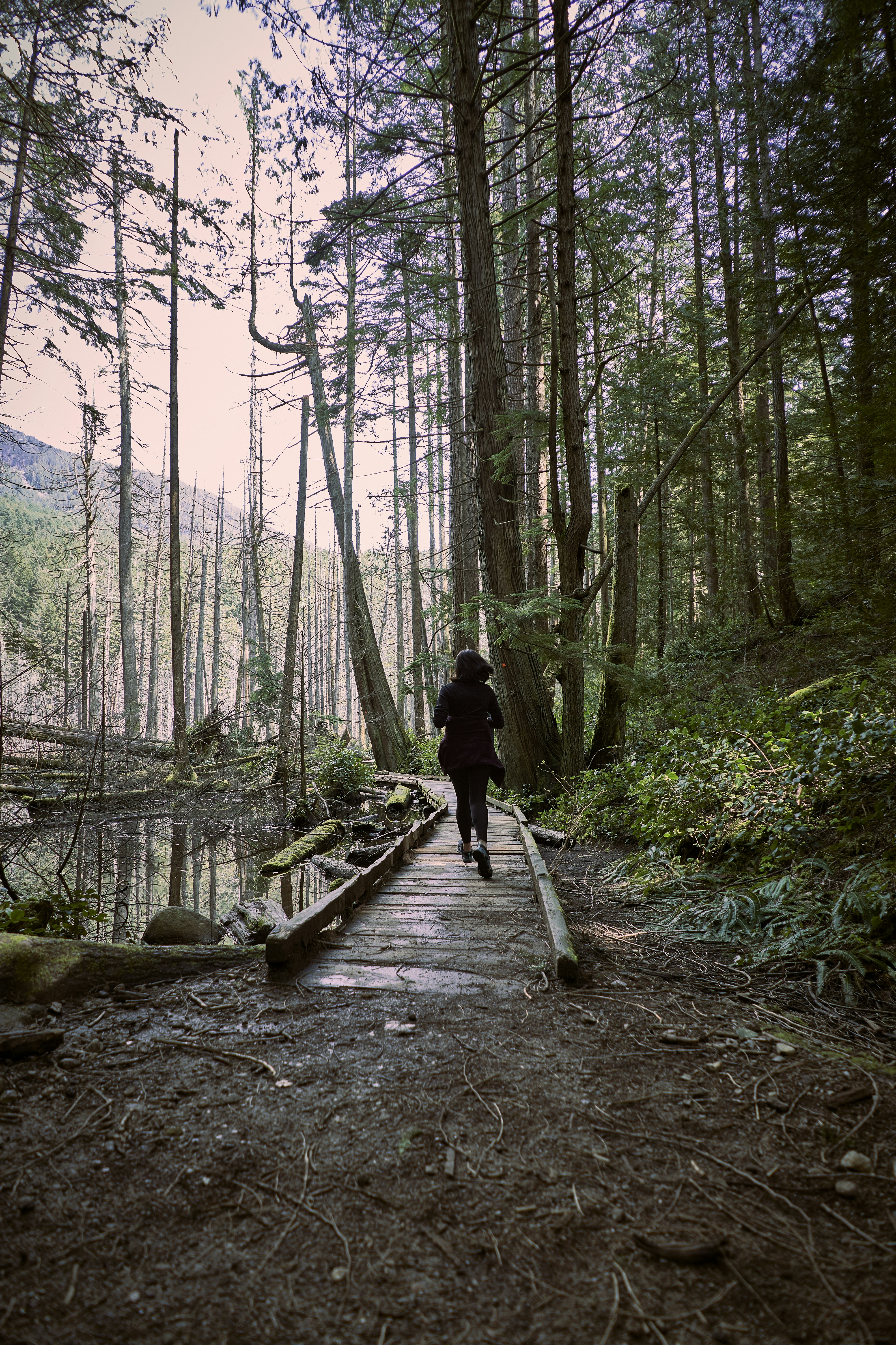 Photo by suicide_chewbacca