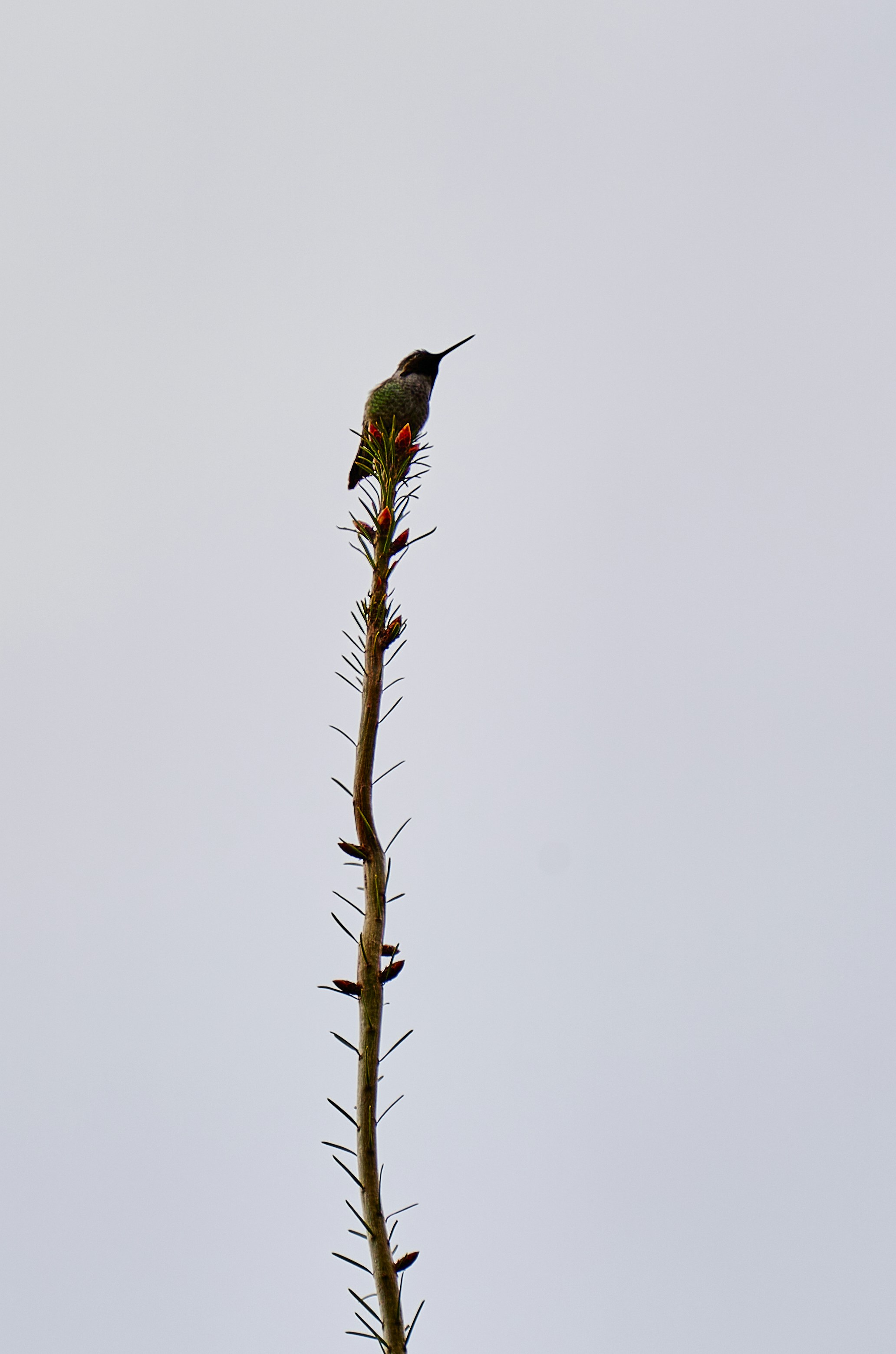 Photograph by Ashwini Chaudhary