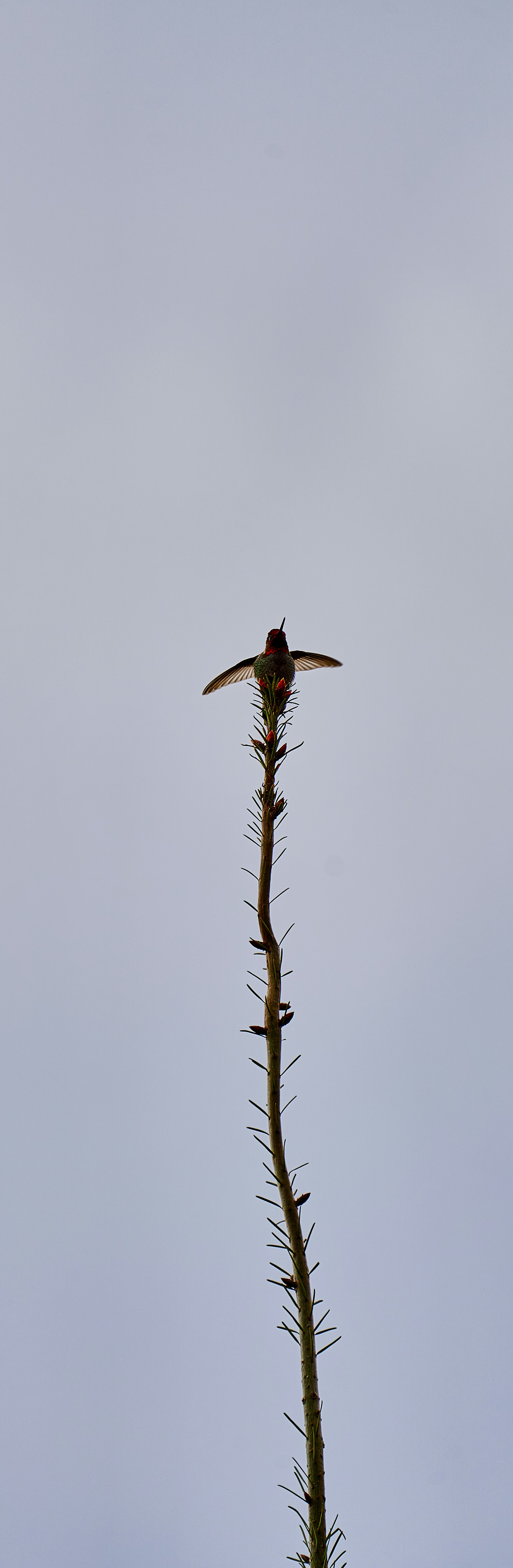 Photograph by Ashwini Chaudhary