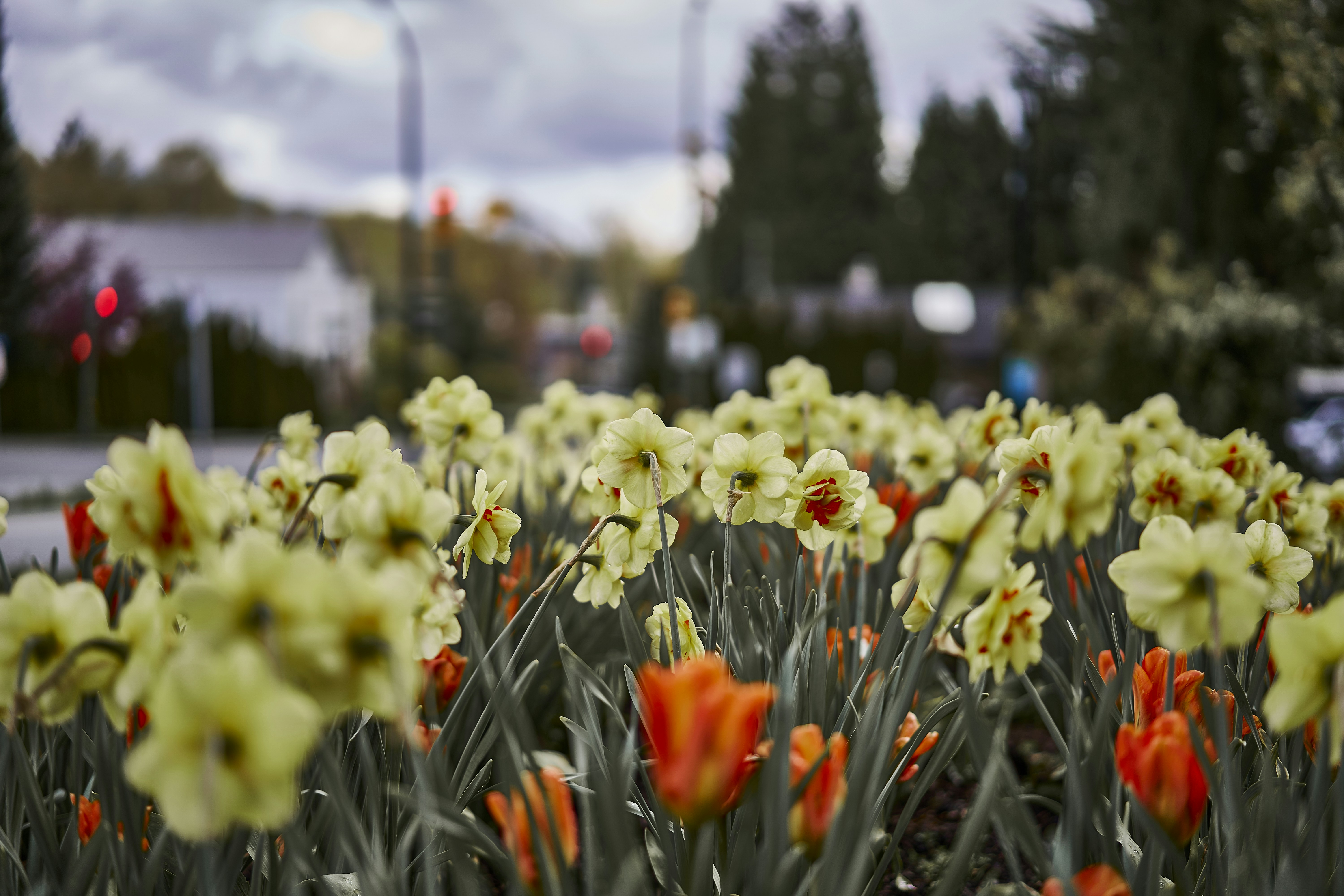 Image by Ashwini Chaudhary(Monty) via Unsplash