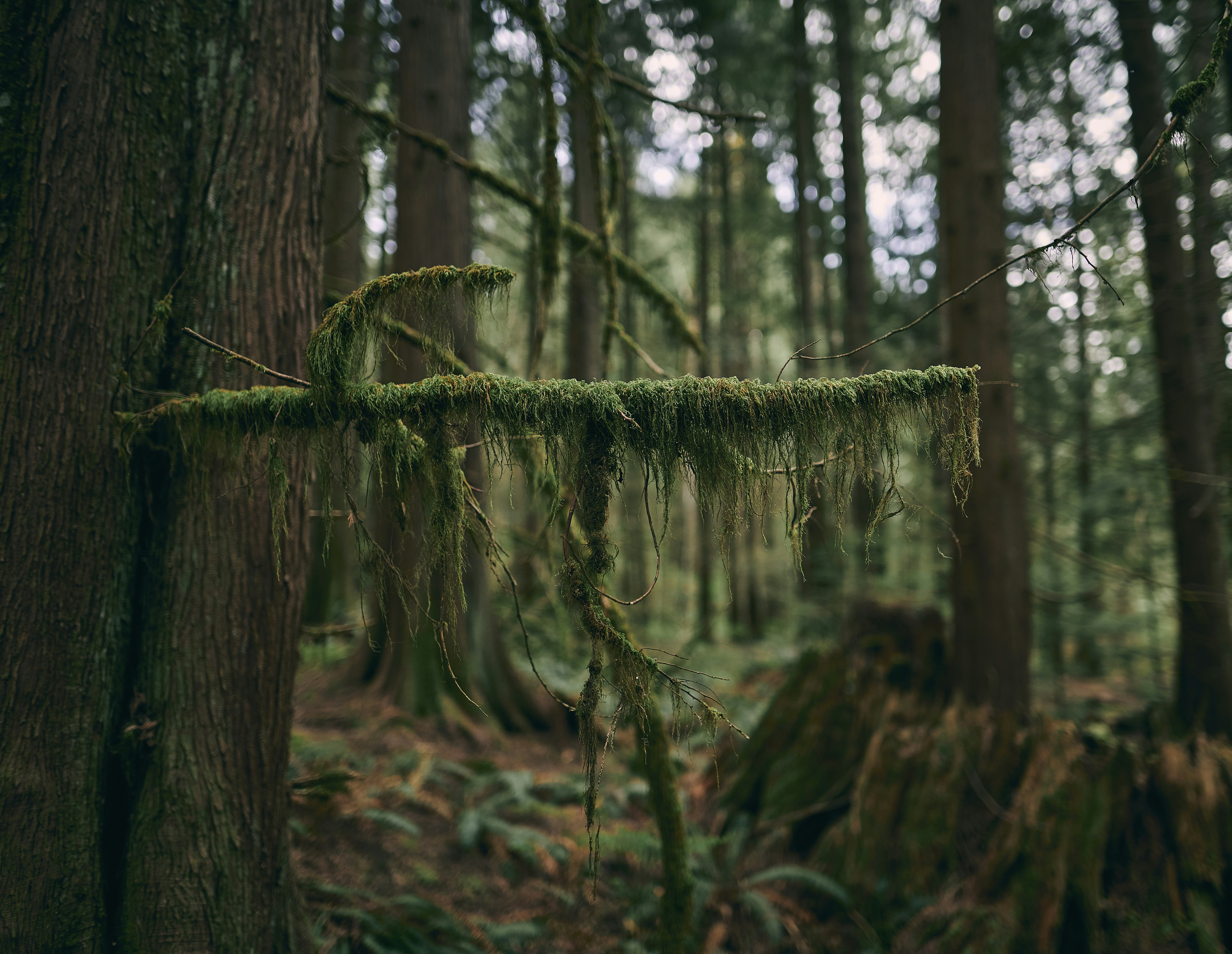 Photo by suicide_chewbacca