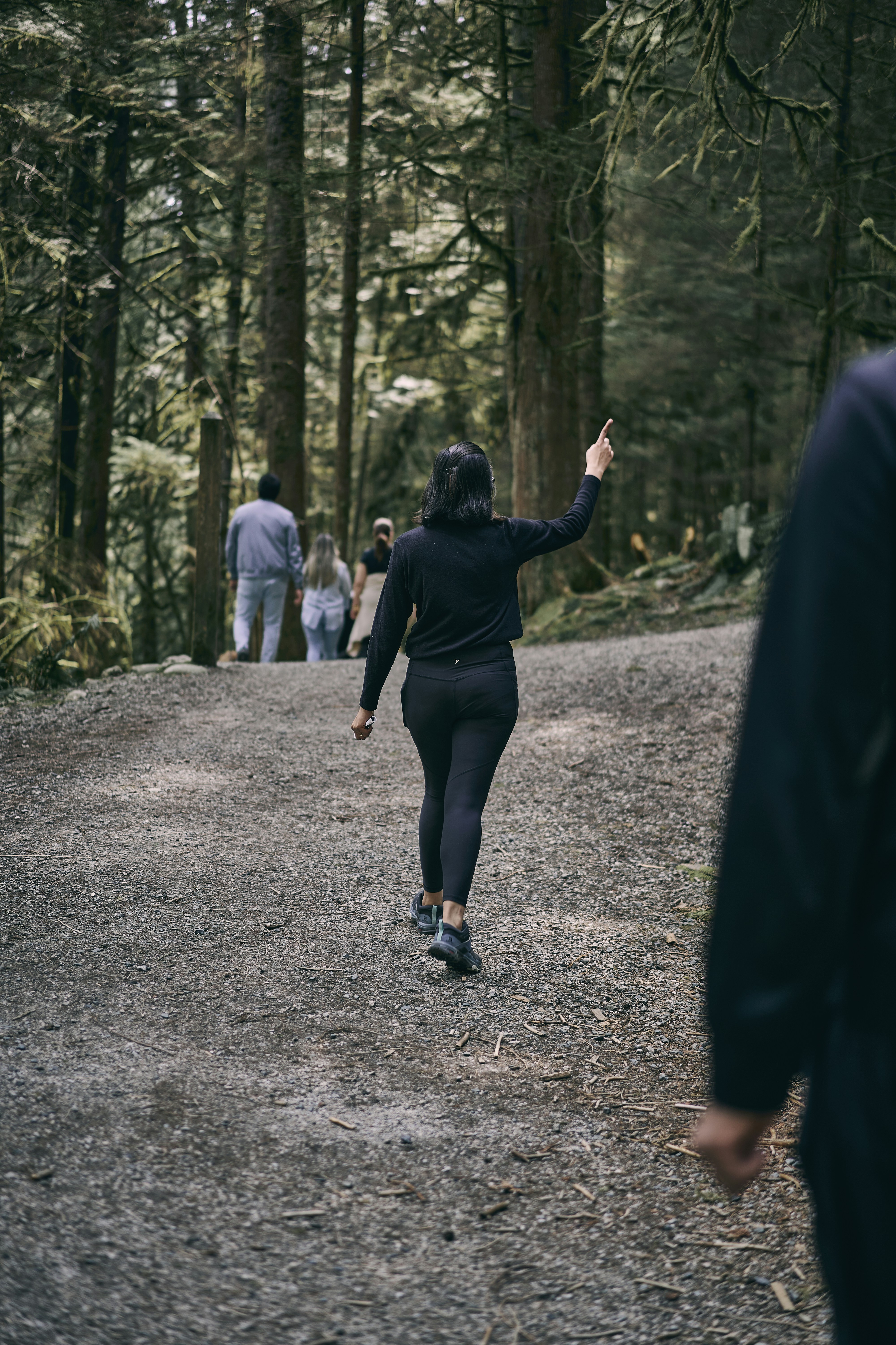 a person walking on a path in the woods