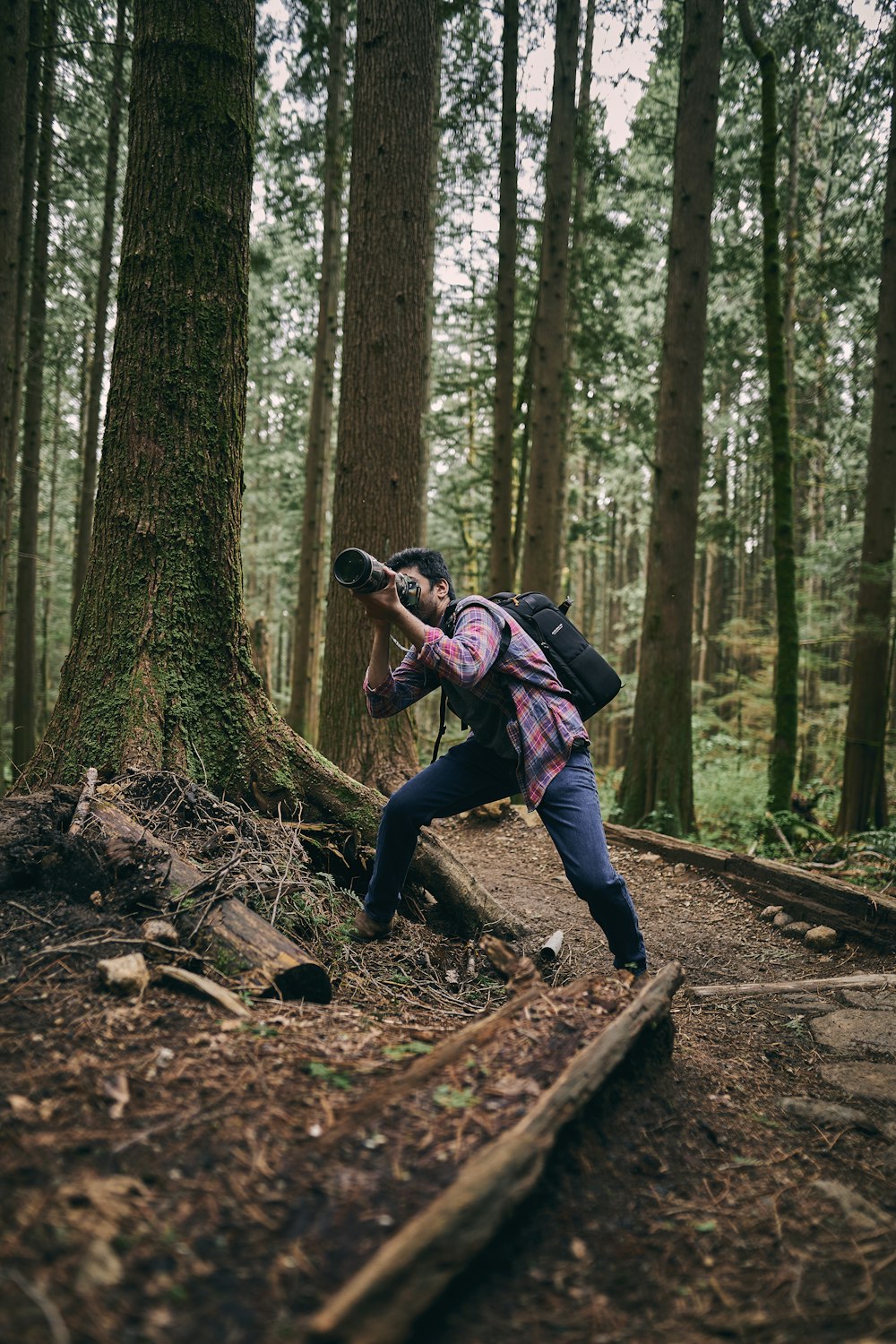 a person taking a picture in the woods