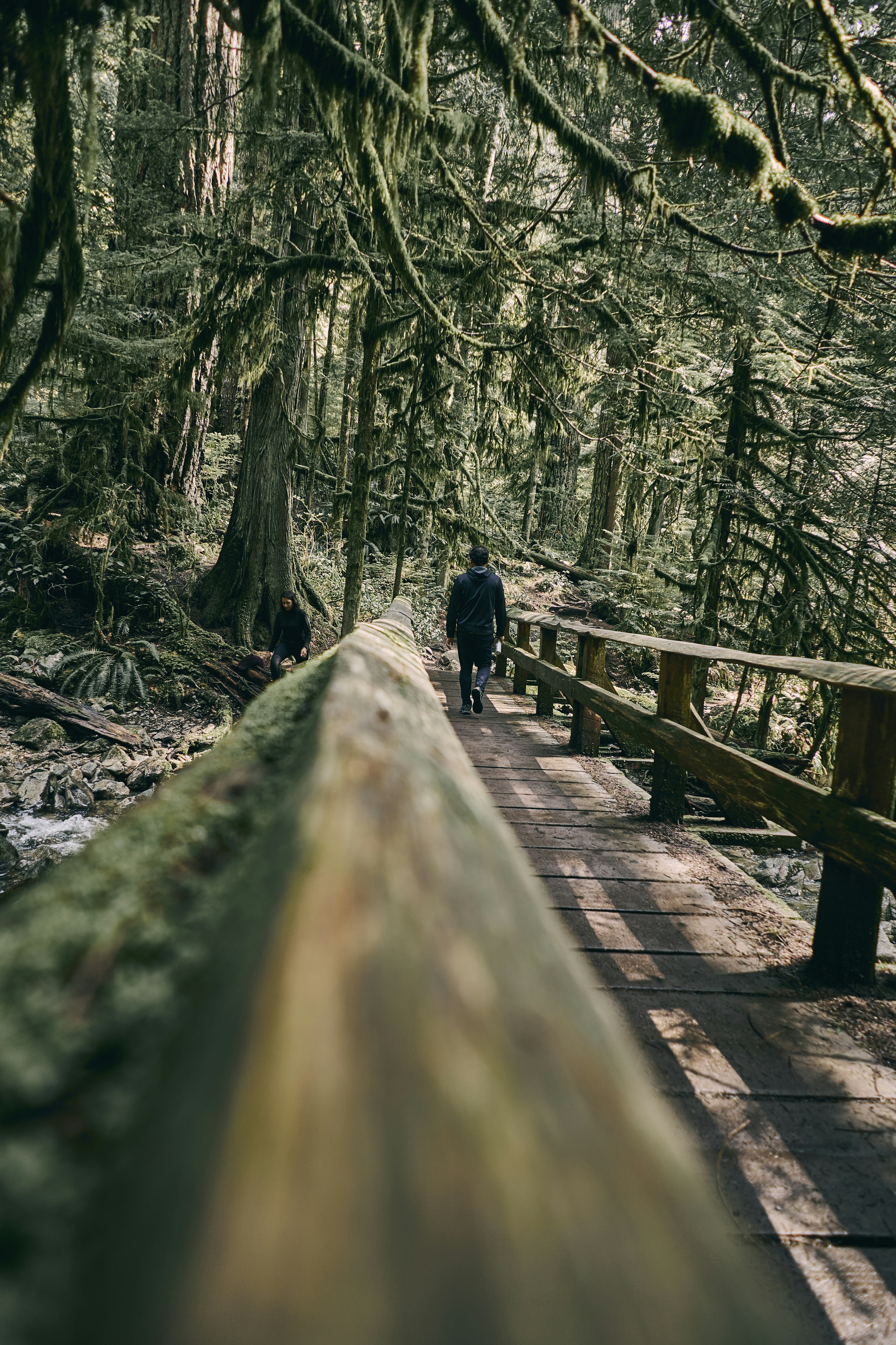 Photo by suicide_chewbacca