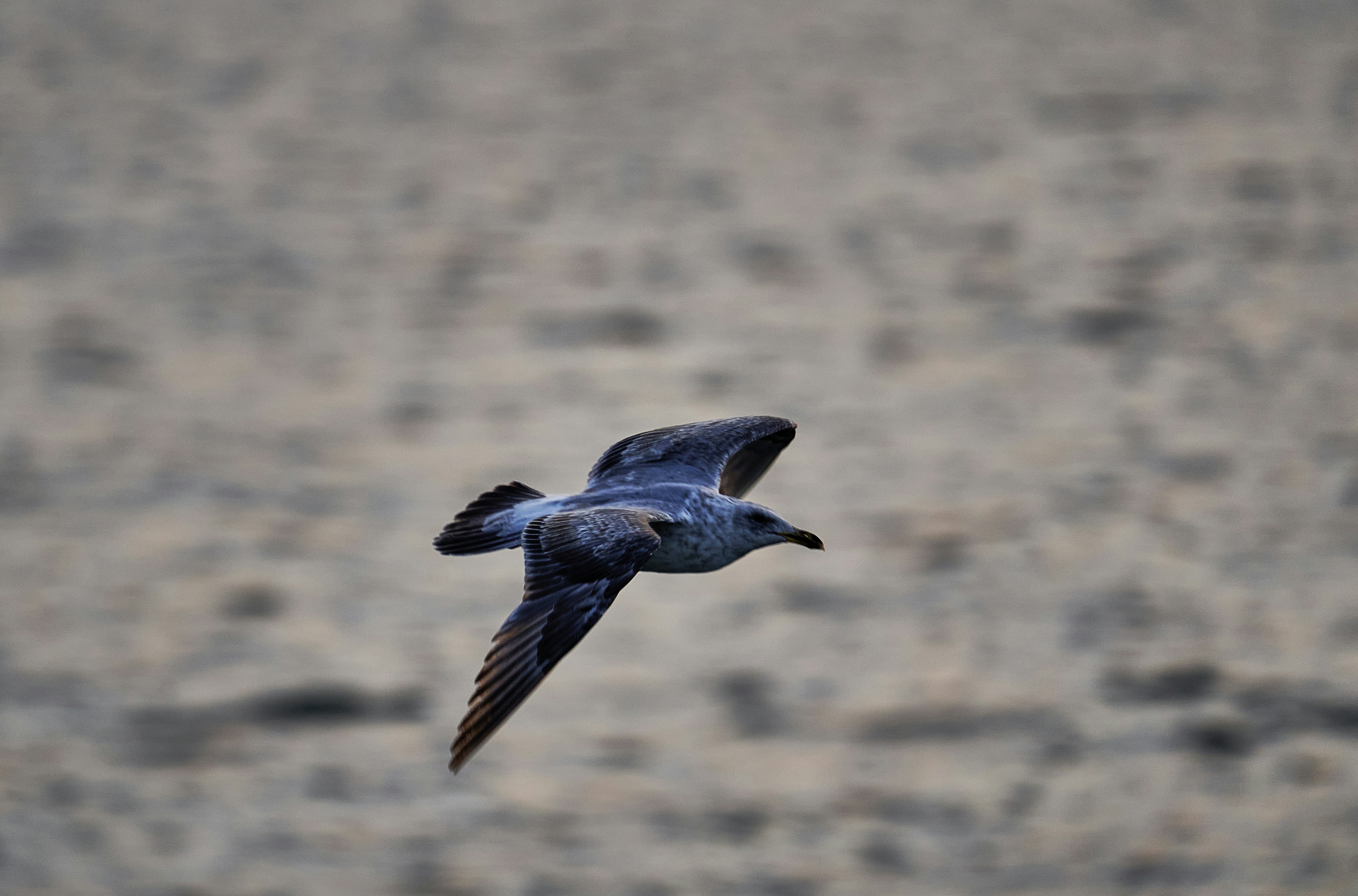 Photograph by Ashwini Chaudhary