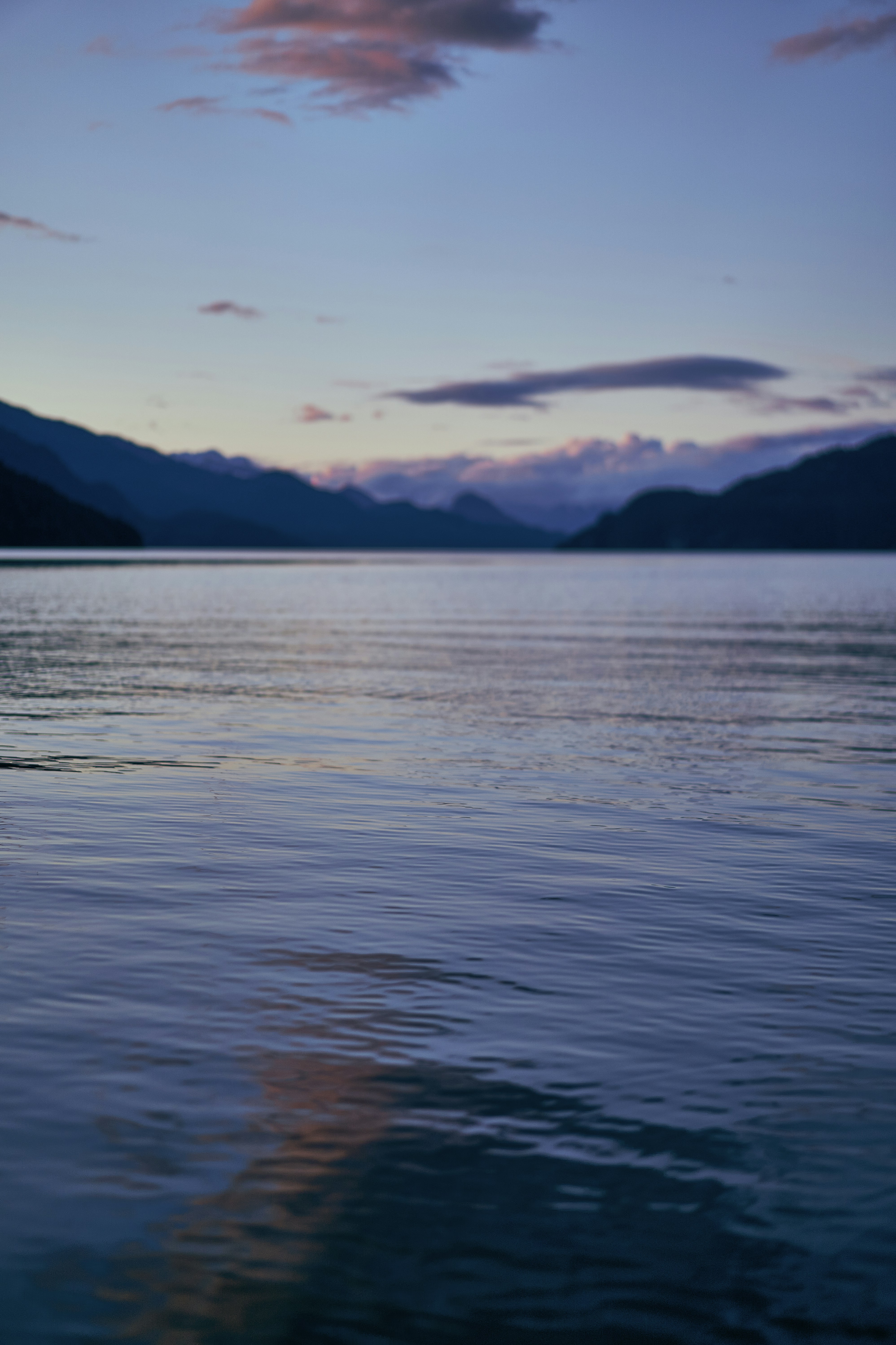 Photo by suicide_chewbacca