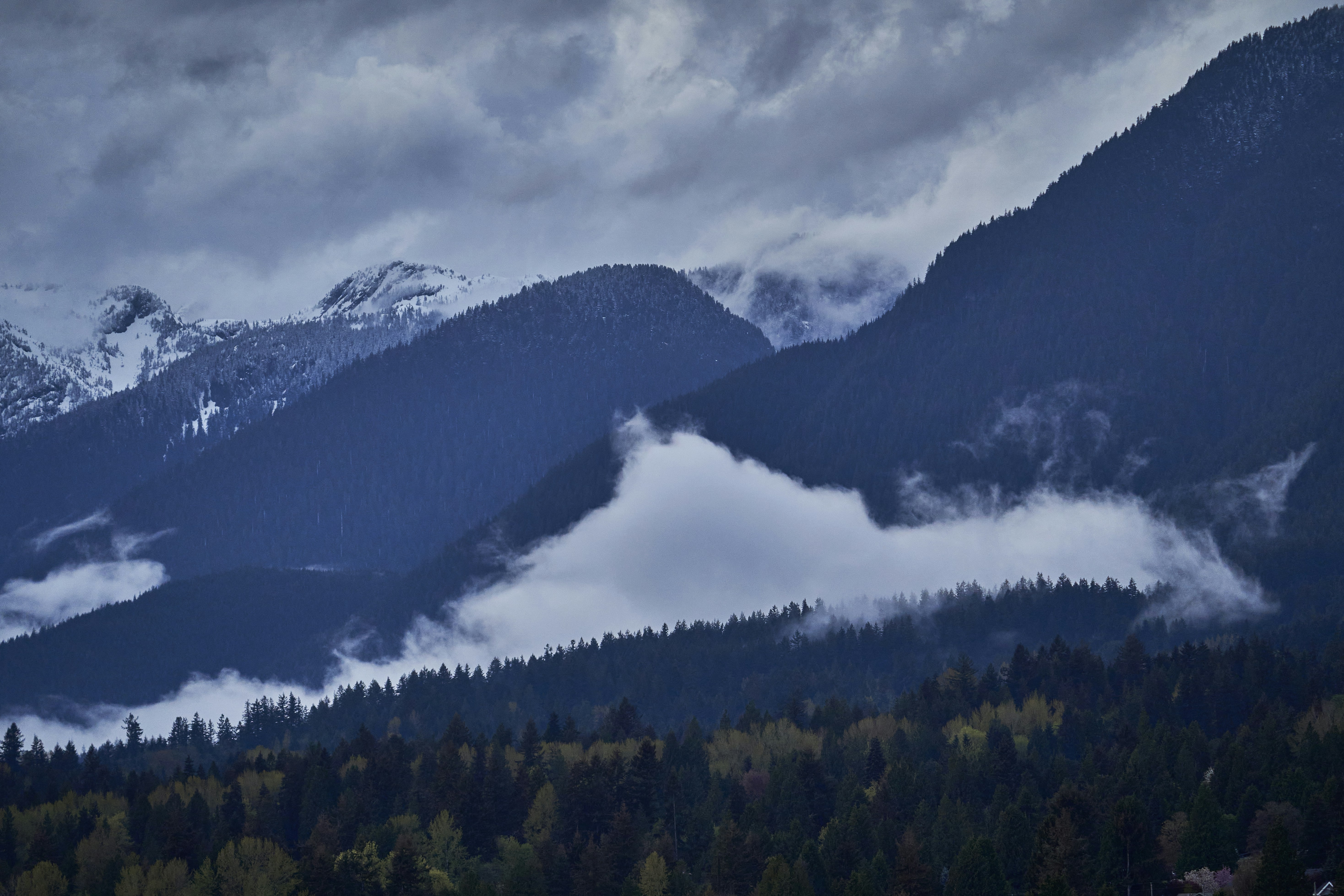 Photo by suicide_chewbacca