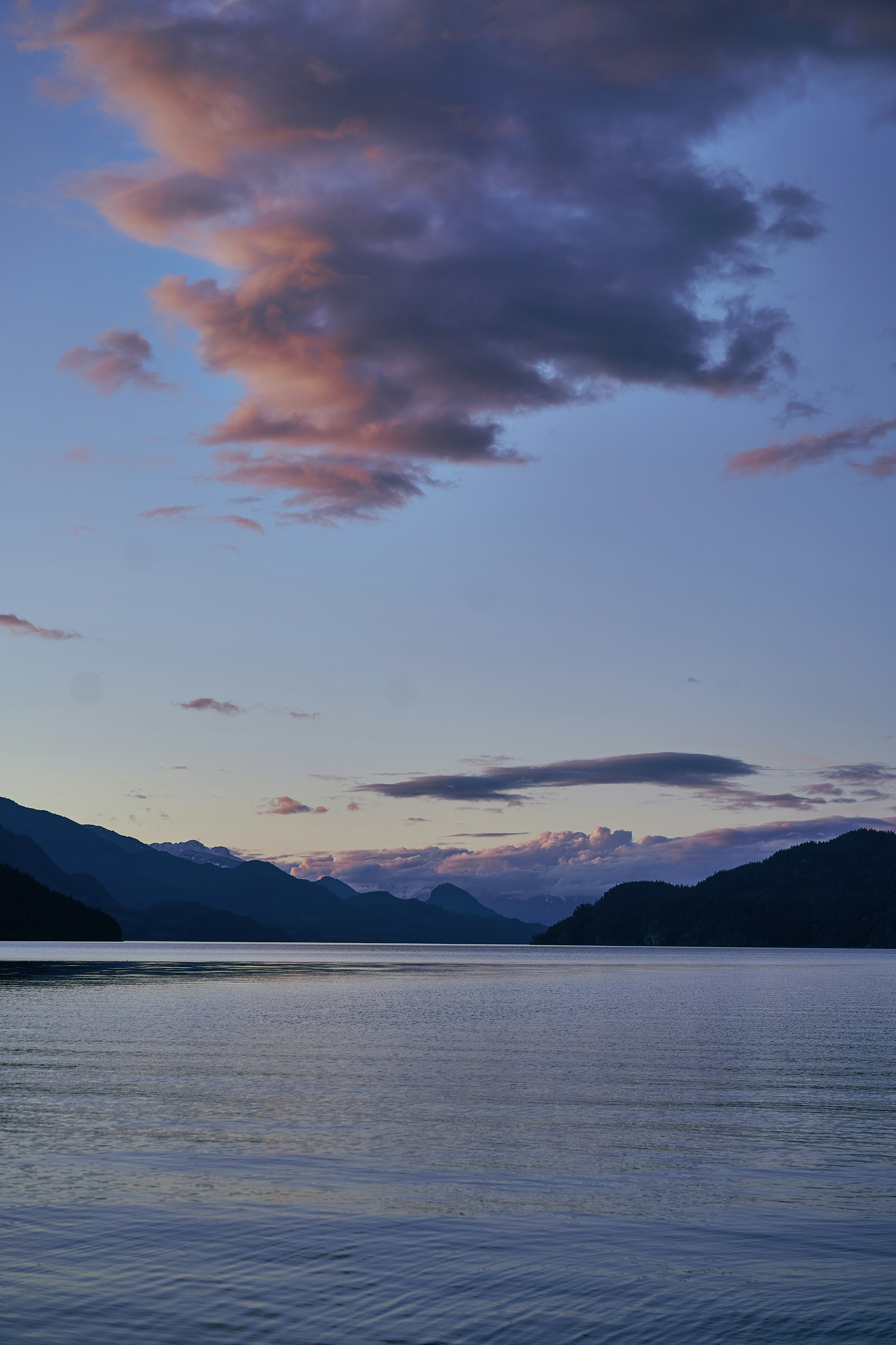 Photo by suicide_chewbacca